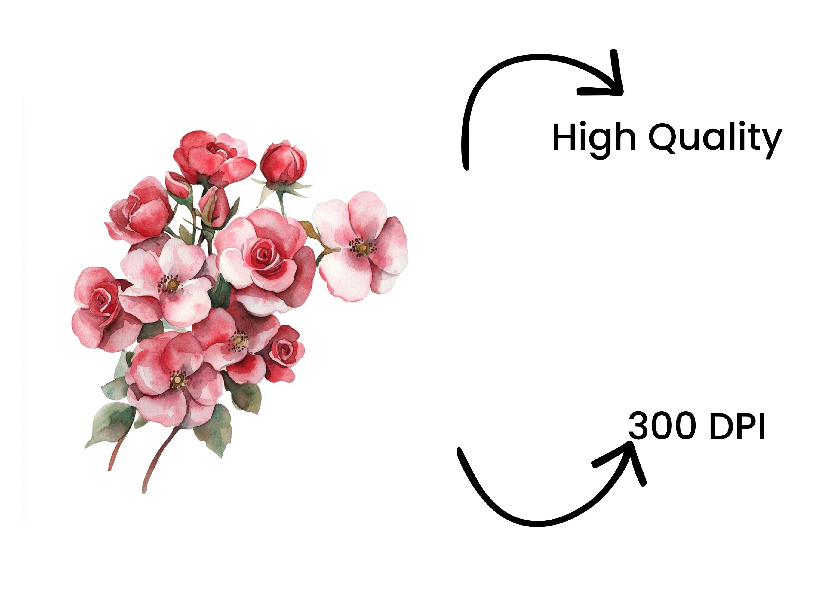 Pink Rose Bouquet Clipart Bundle