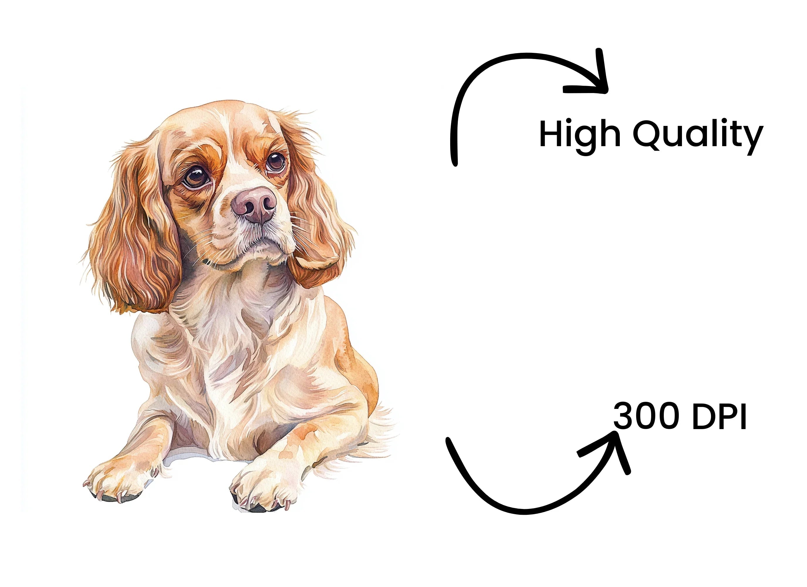 Cute Cocker Spaniel Clipart Bundle