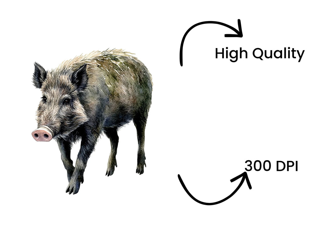 Wild Boar Clipart Bundle