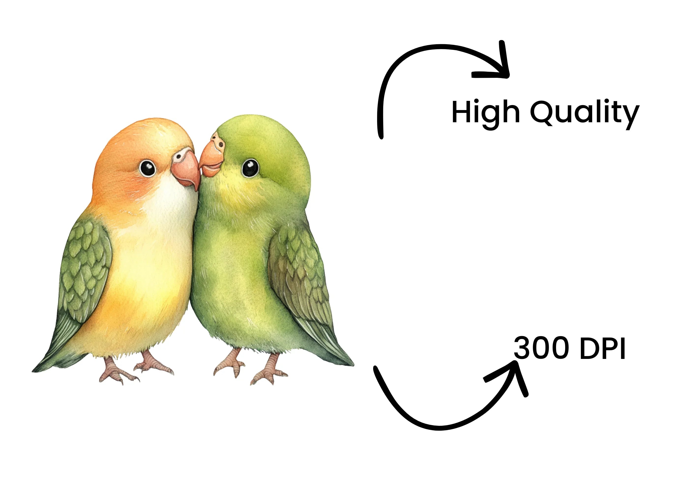 Cute Love Birds Clipart Bundle