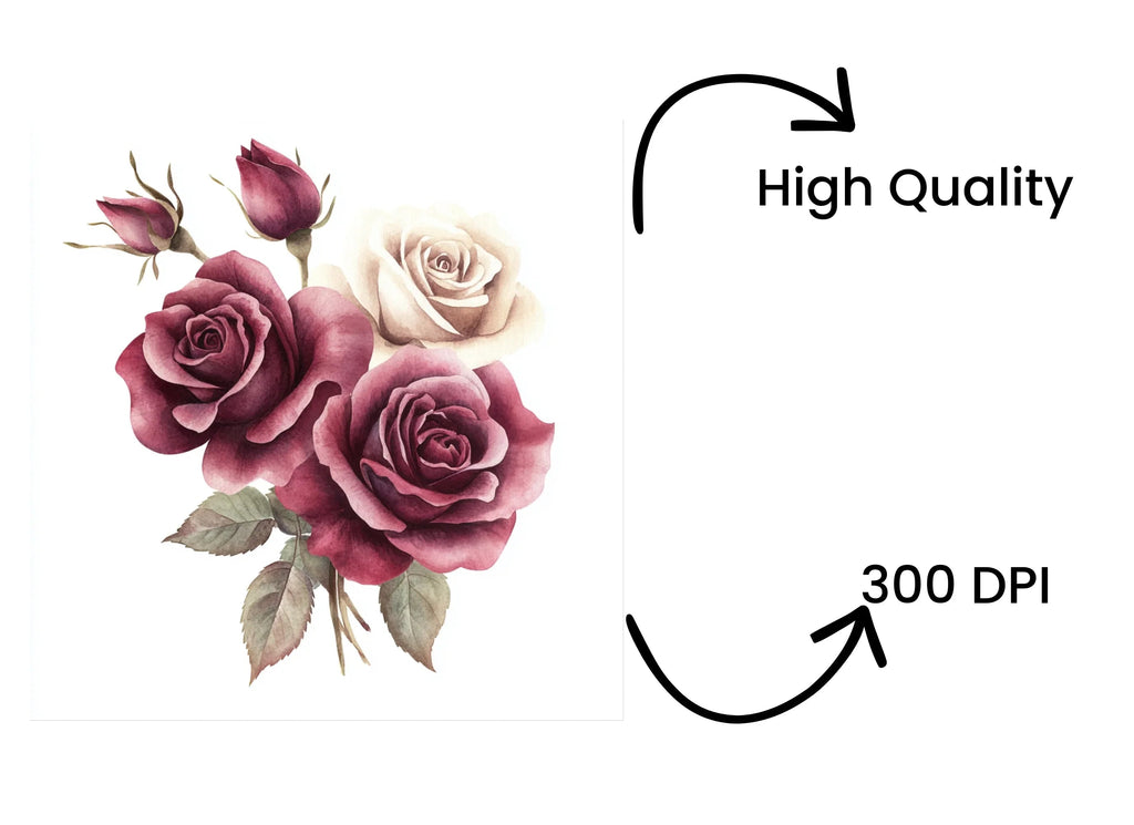 Elegant Burgundy Cream Rose Clipart Bundle