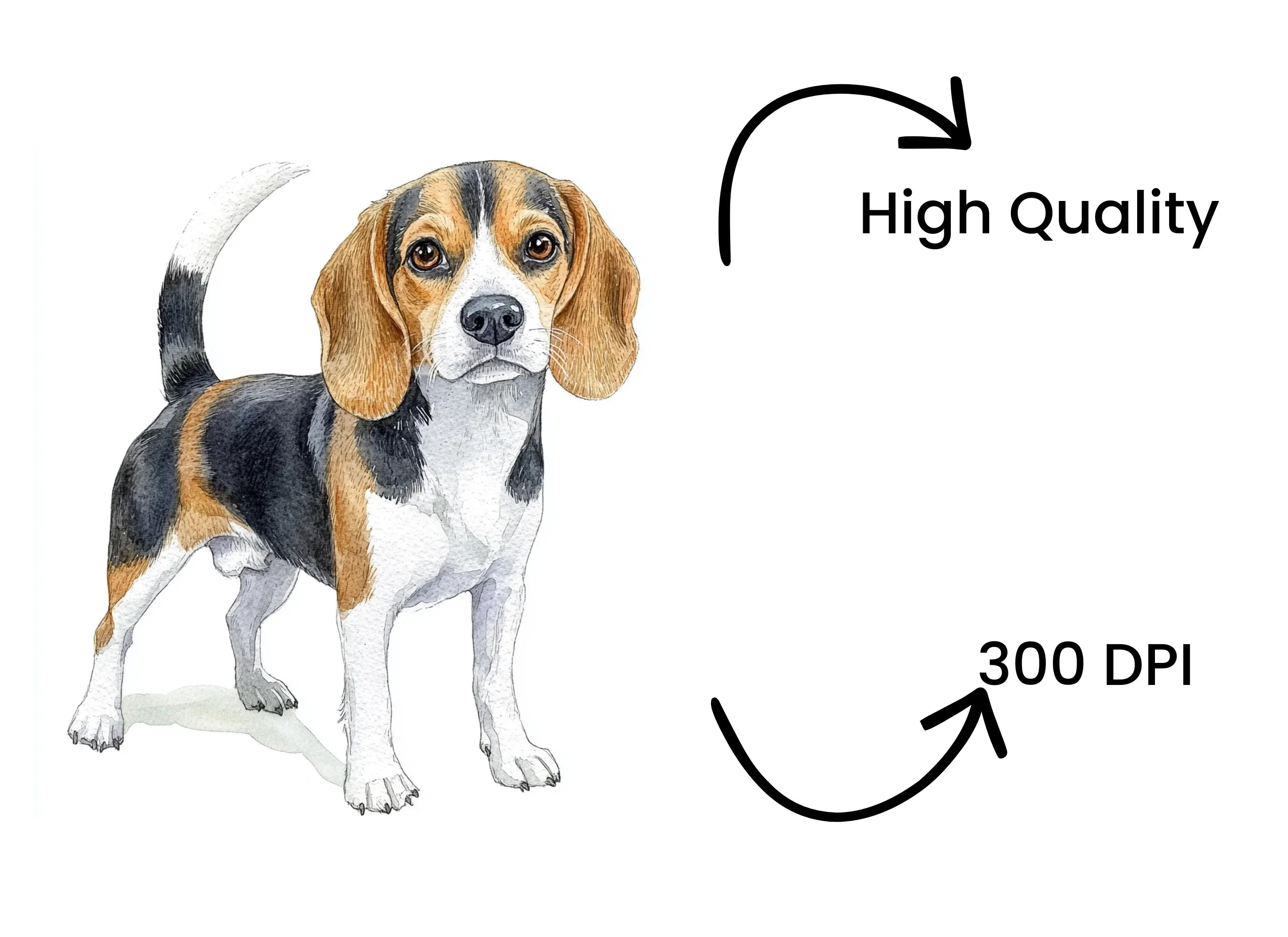 Majestic Adult Beagle Dog Clipart Bundle