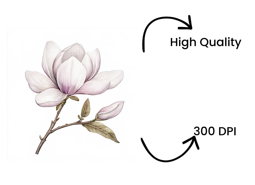 Elegant Magnolia Clipart Bundle