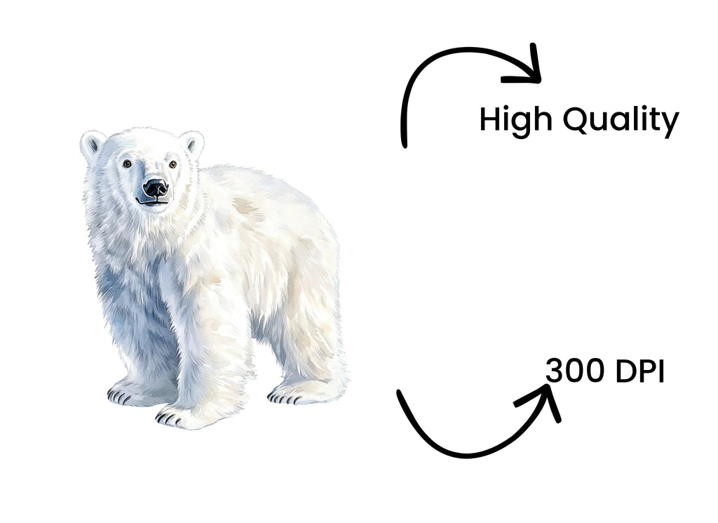 Realistic Standing Polar Bear Clipart Bundle