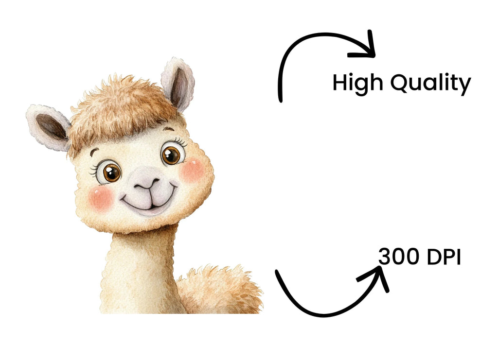 Cute Llama Clipart Bundle