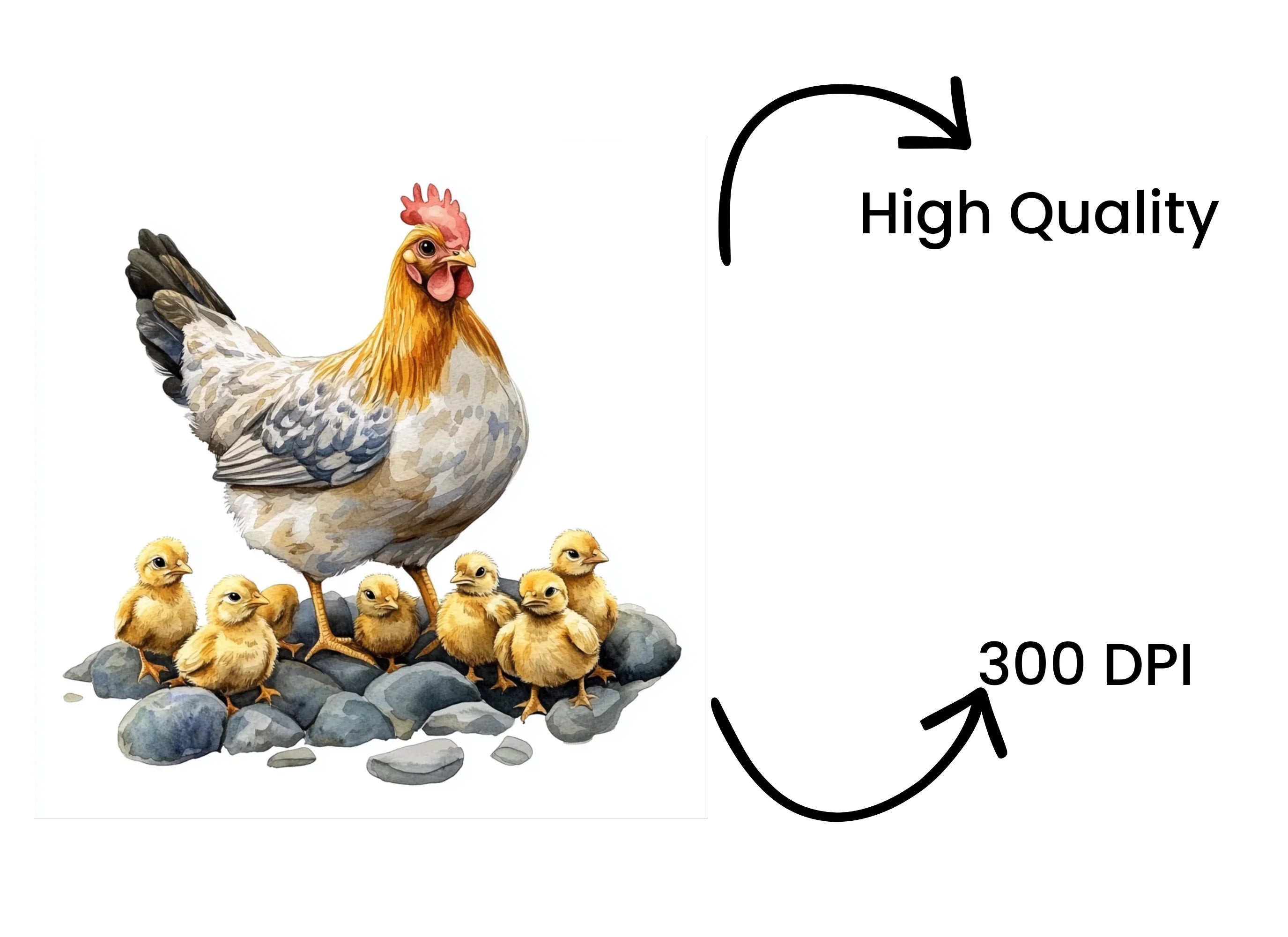 Hen and Chicks Clipart Bundle
