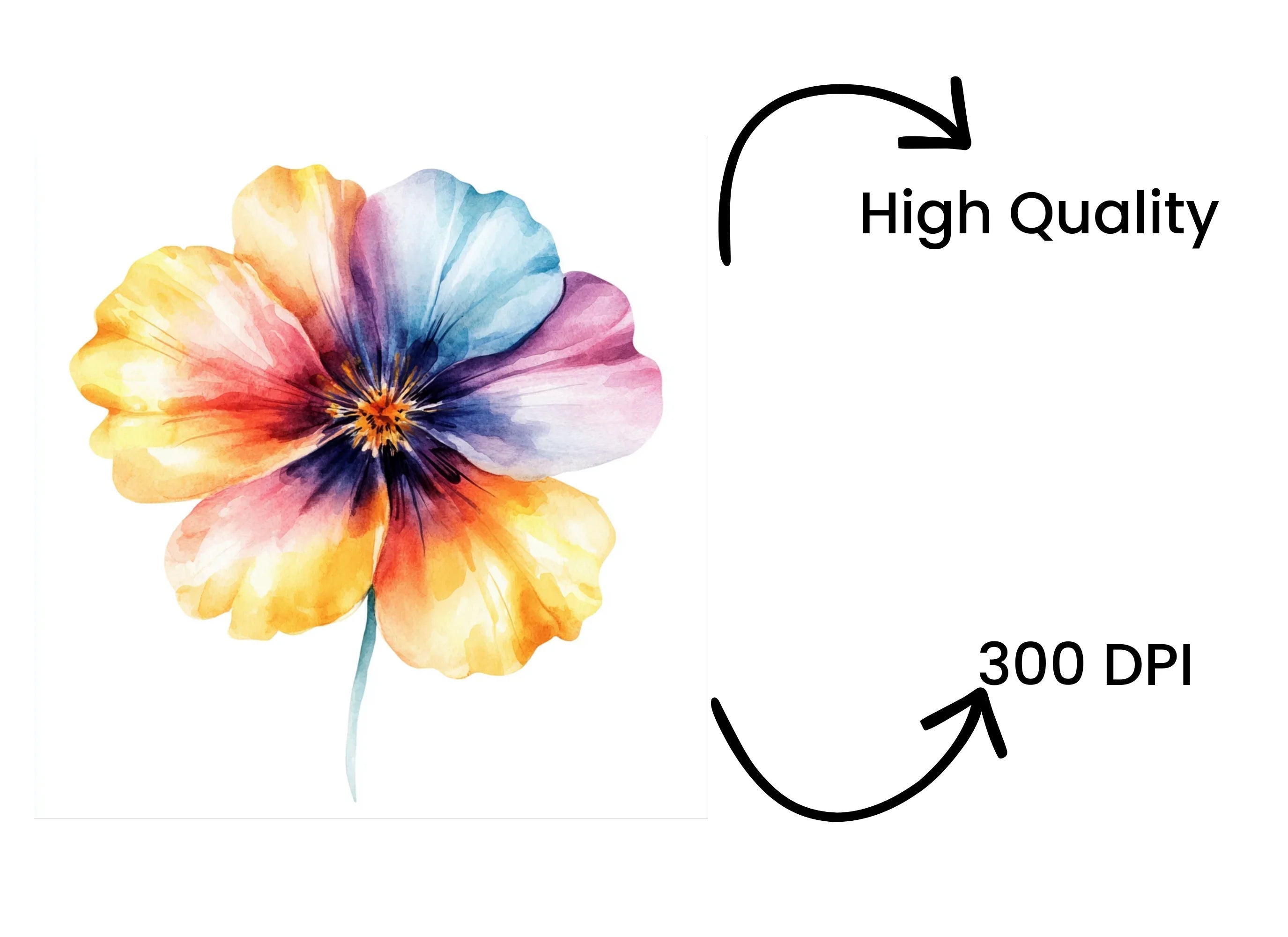 Vibrant Floral Clipart Bundle