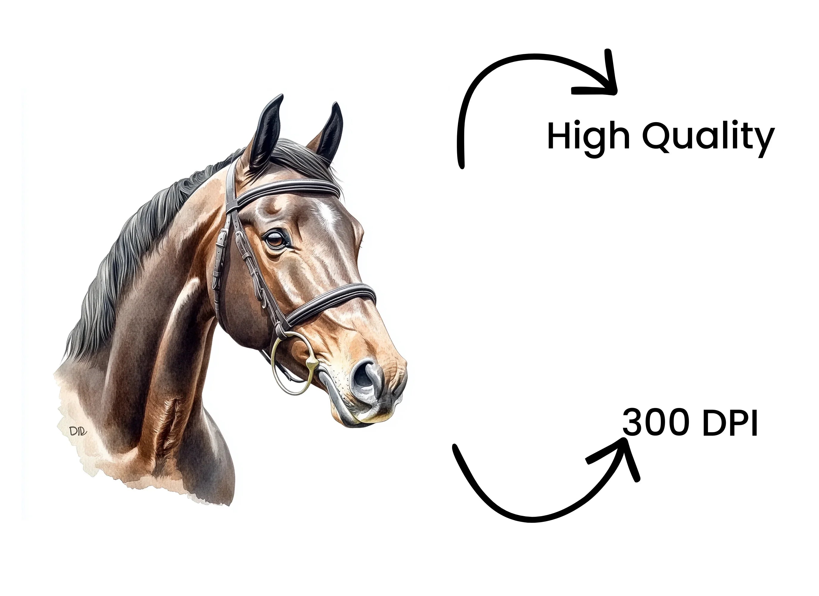 Horse Head Clipart Bundle
