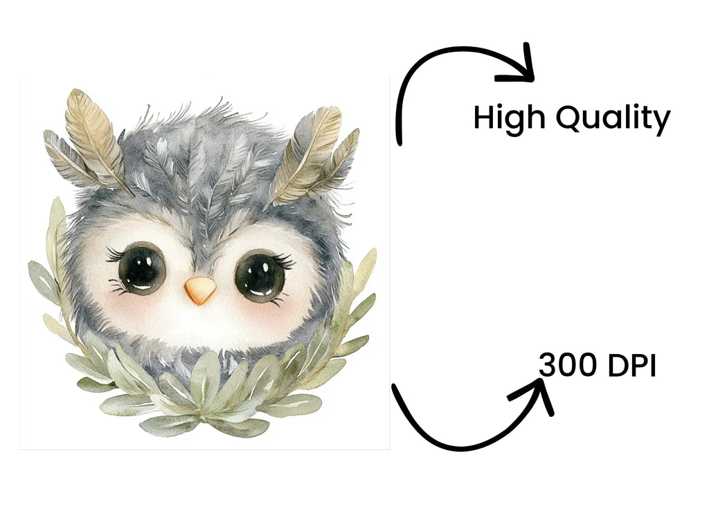 Cute Owl Clipart Bundle