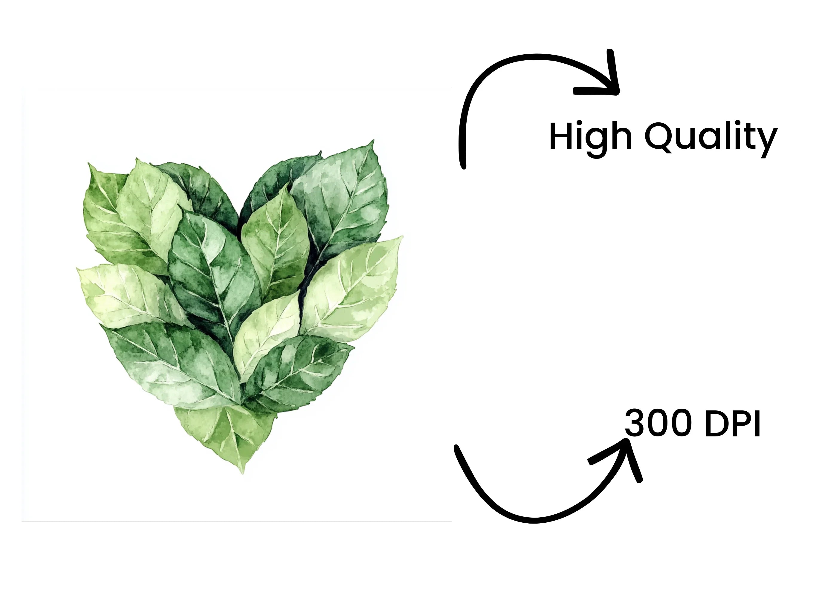 Green Leaves Heart Clipart Bundle