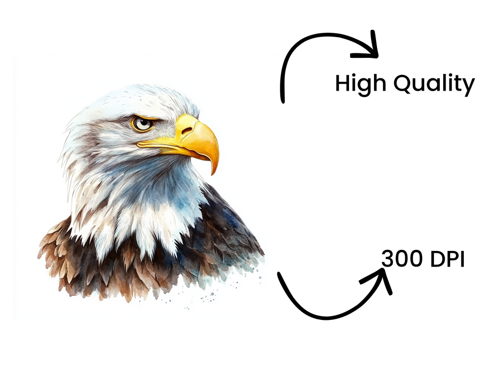 Majestic Eagle Head Clipart Bundle