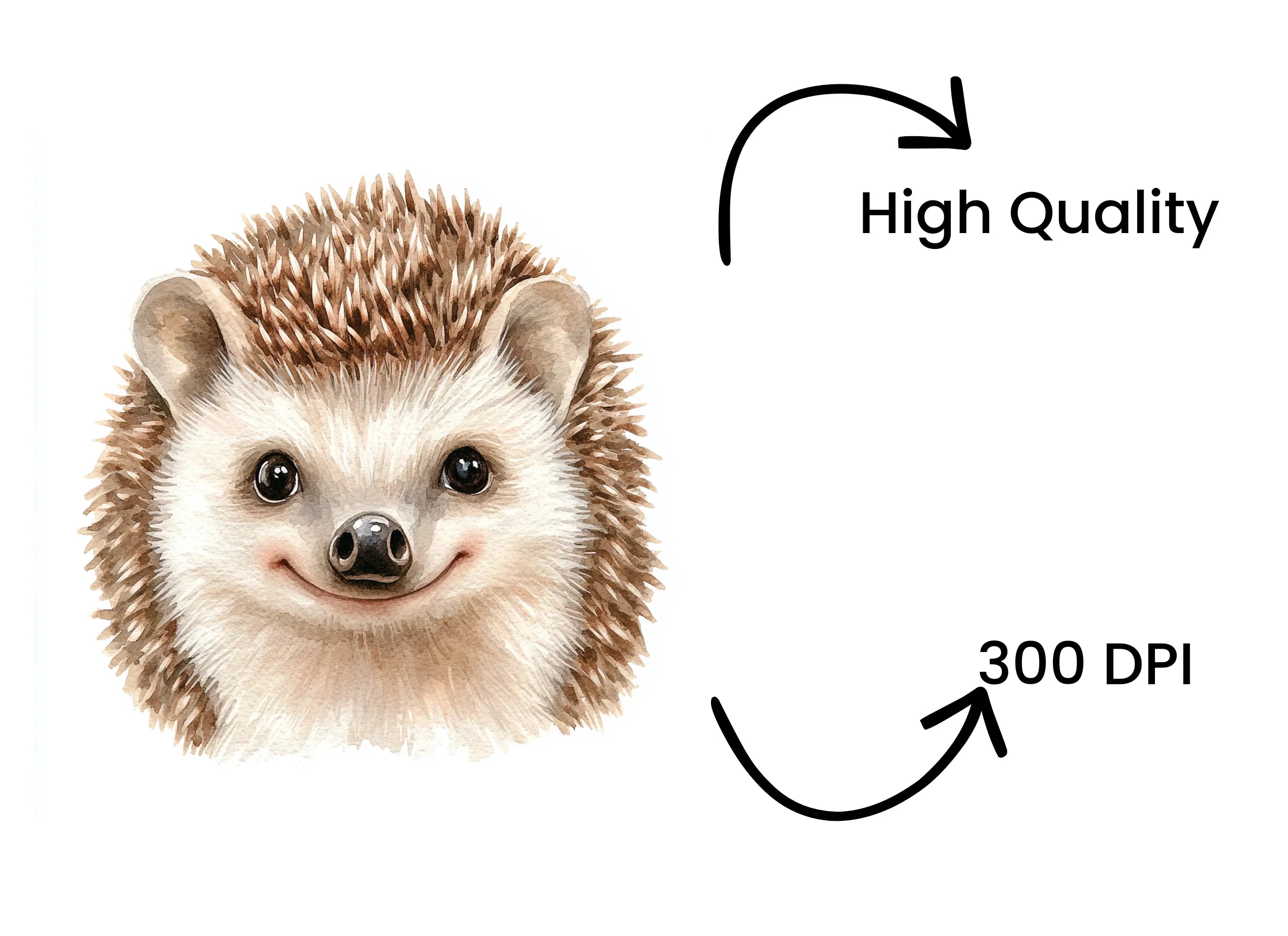 Cute Hedgehog Clipart Bundle