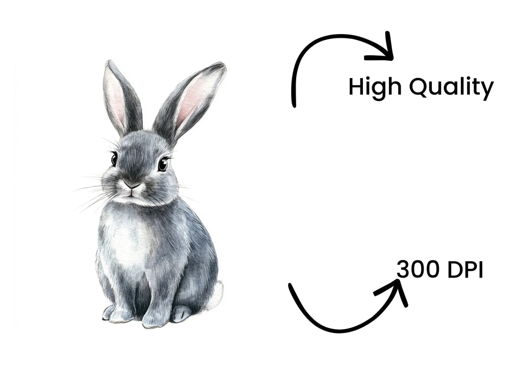Cute Grey Bunny Rabbit Clipart Bundle
