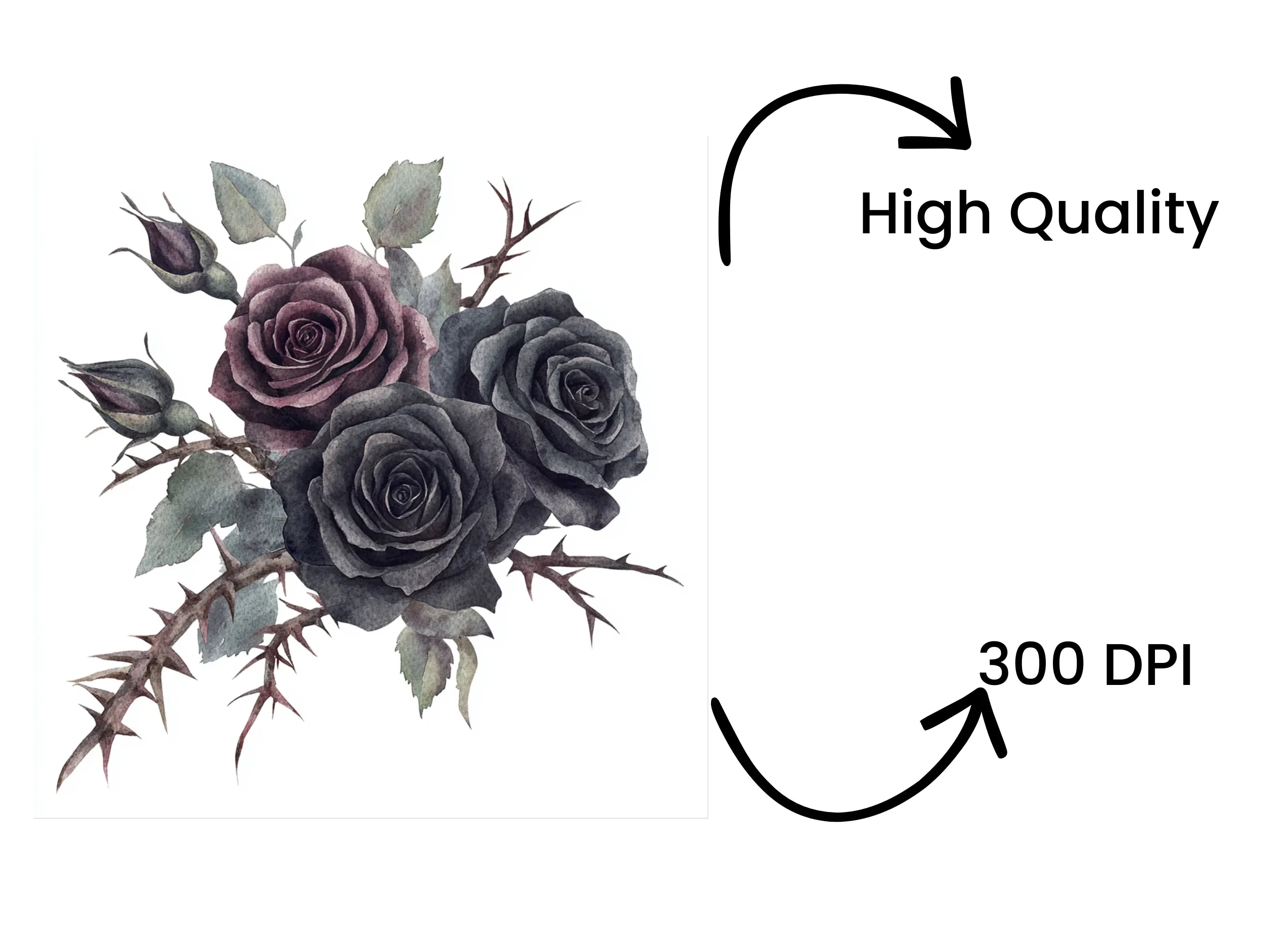 Gothic Black Rose Bouquets Clipart Bundle