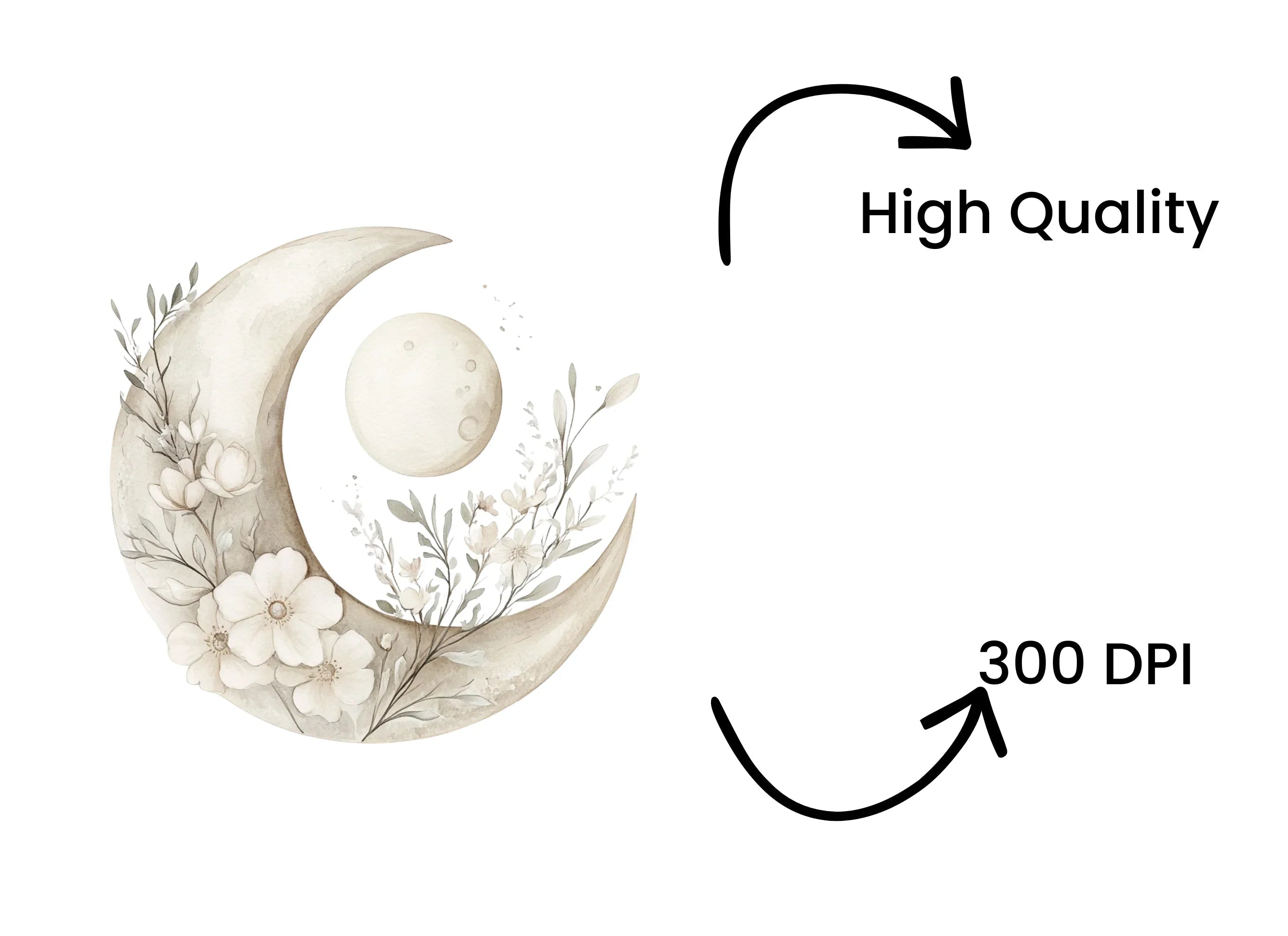 Elegant Floral Crescent Moon Clipart Bundle
