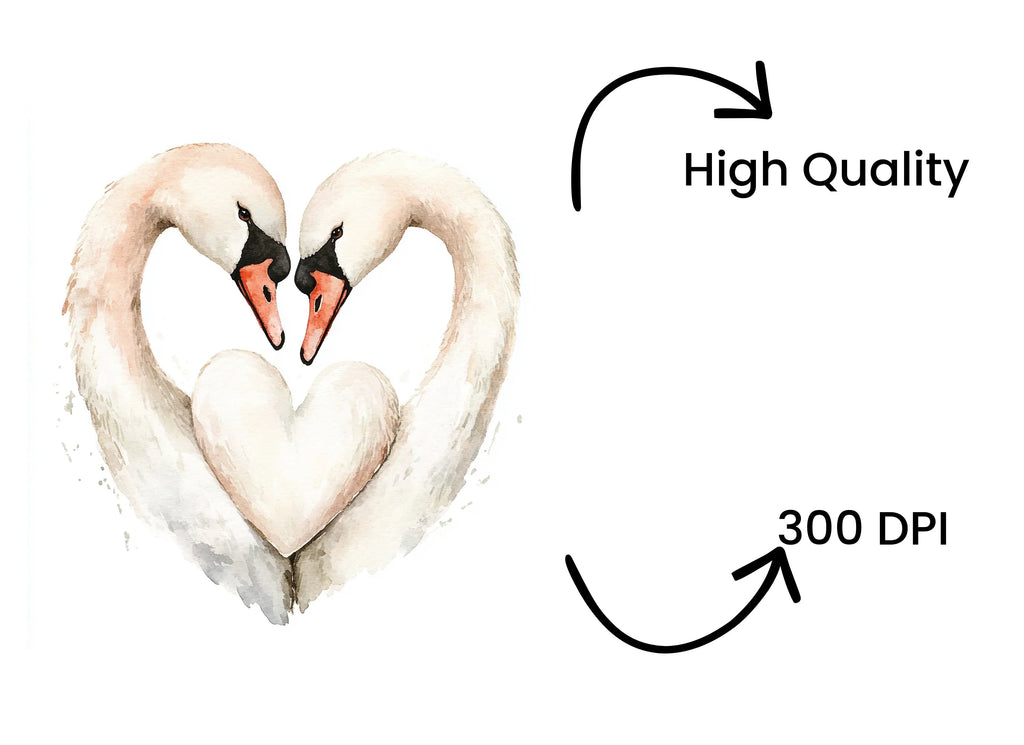 Romantic Swan Heart Clipart Bundle