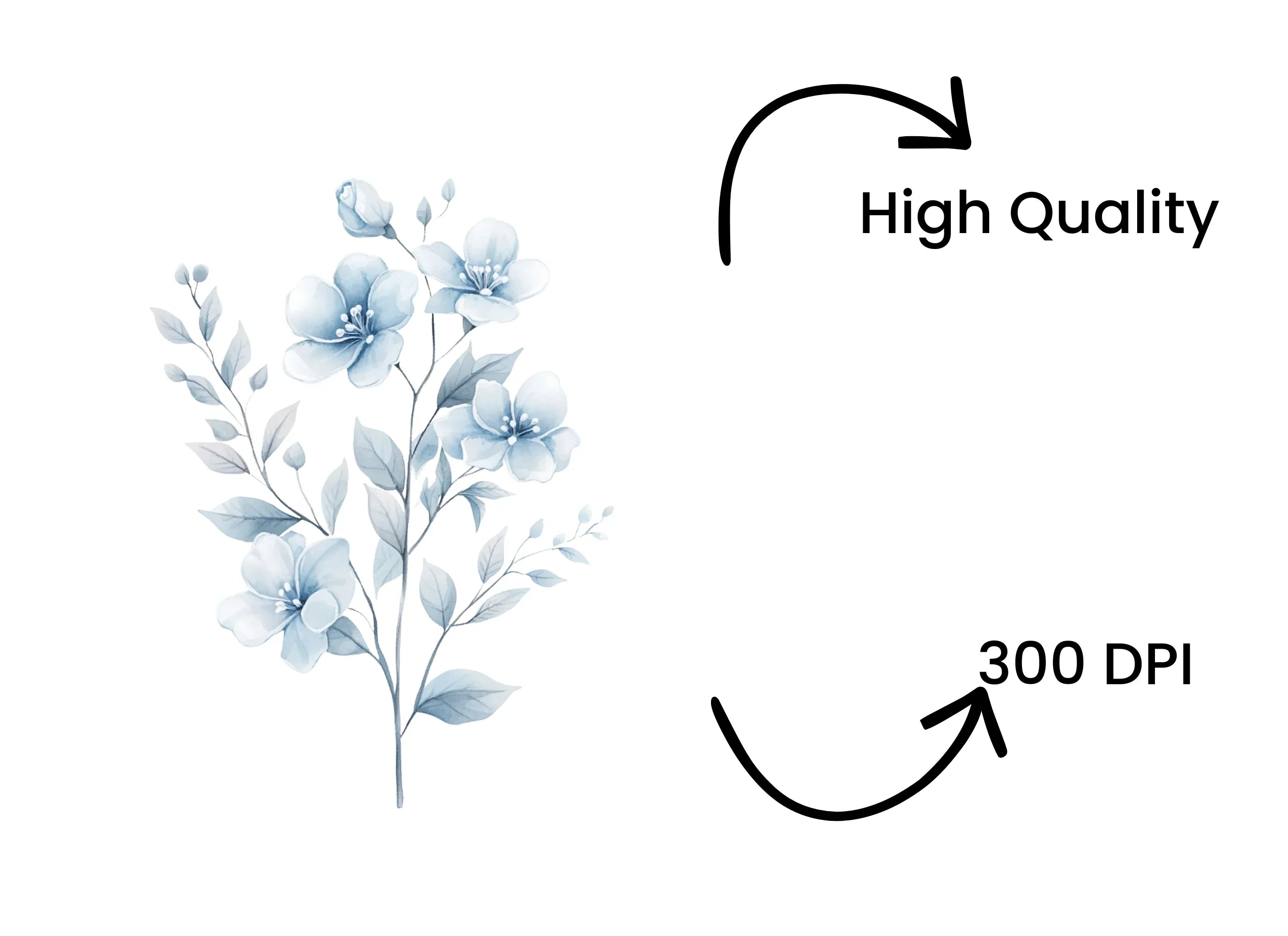 Delicate Blue Floral Clipart Bundle