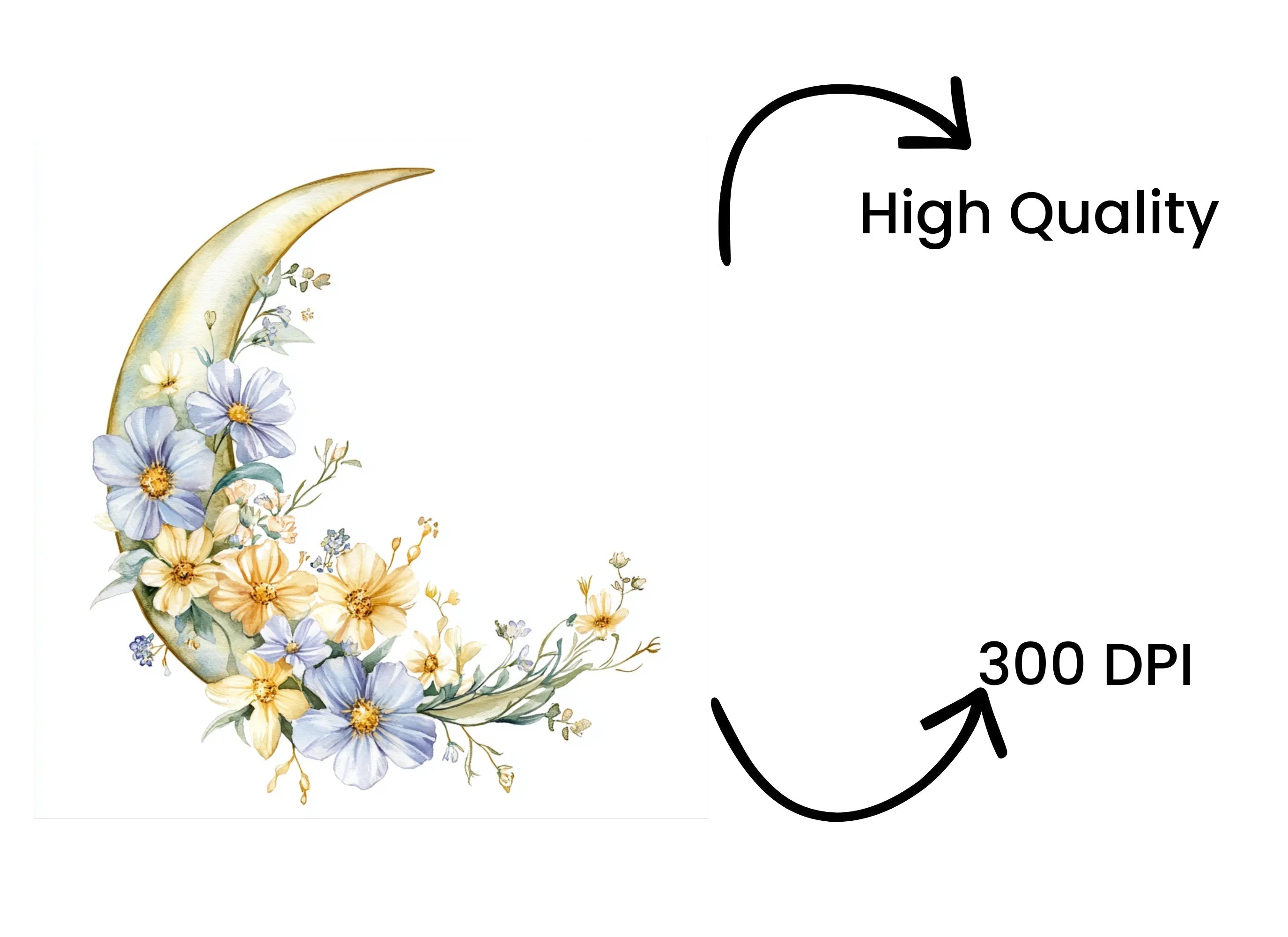 Floral Moon Clipart Bundle