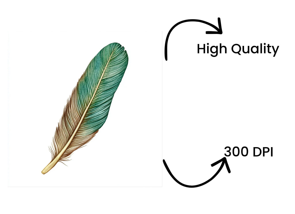 Colorful Feather Clipart Bundle