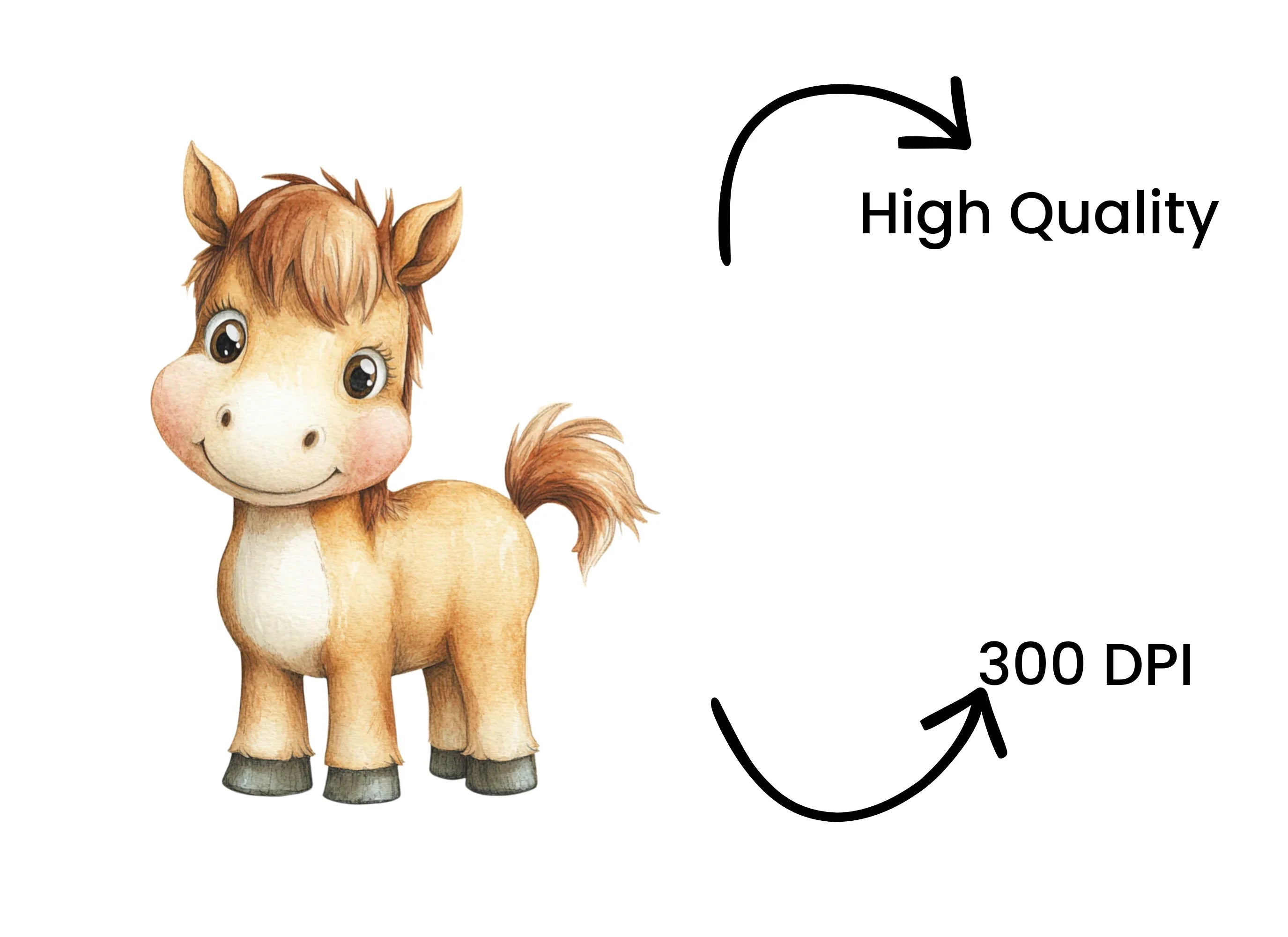 Charming Baby Horse Clipart Bundle
