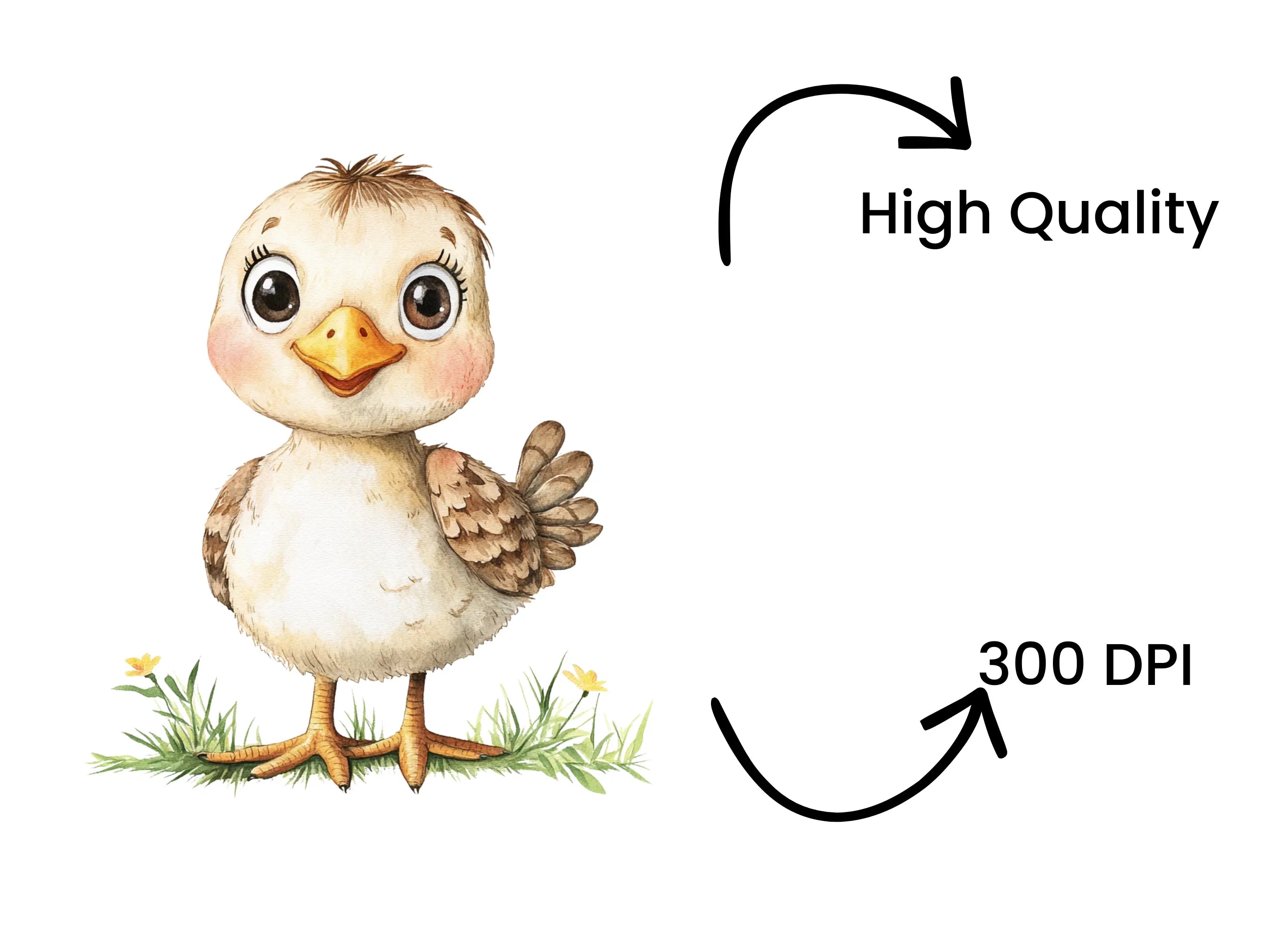 Cute Baby Chicks Clipart Bundle