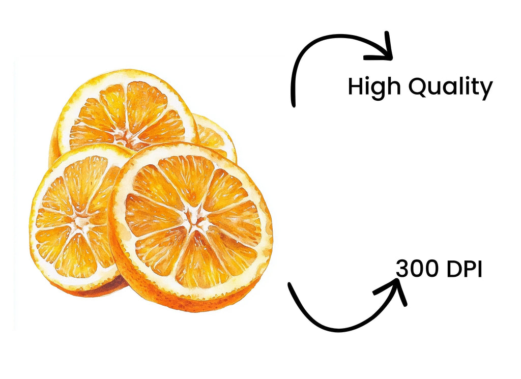 Fresh Orange Slices Clipart Bundle