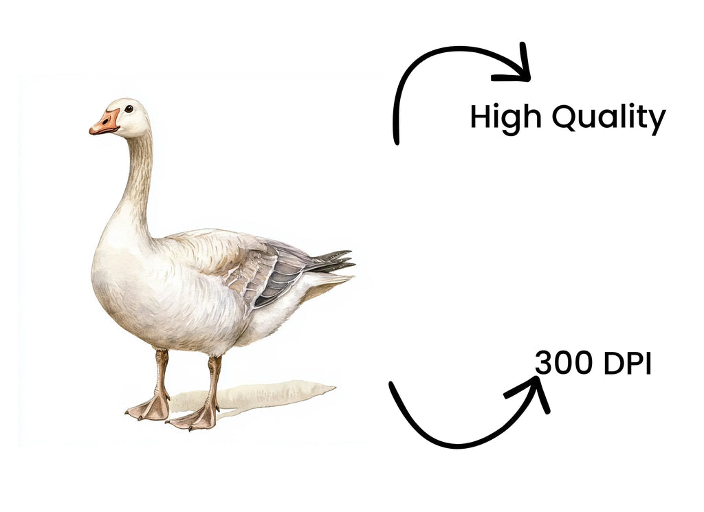 Geese Clipart Bundle