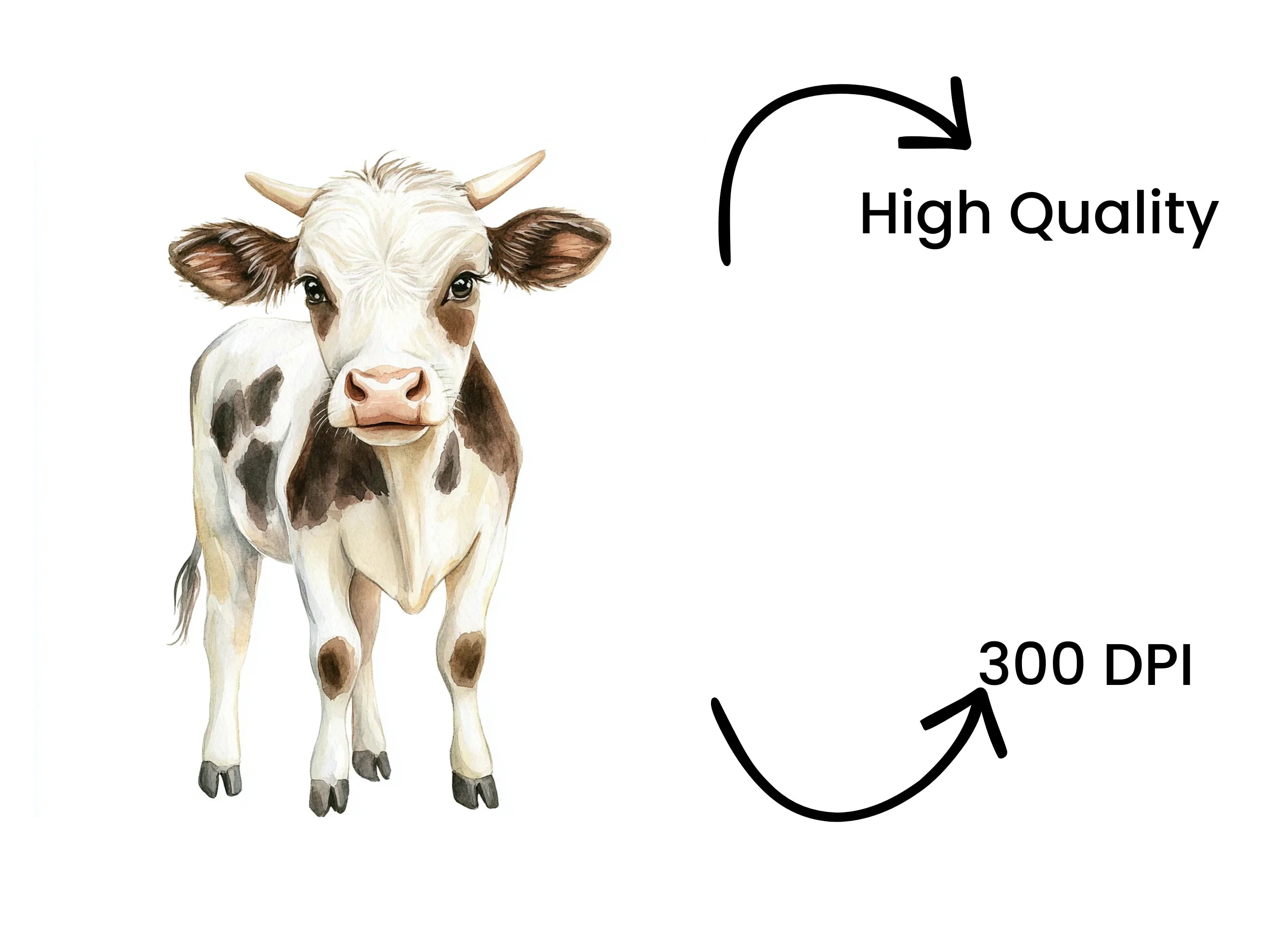 Cute Baby Cow Clipart Bundle