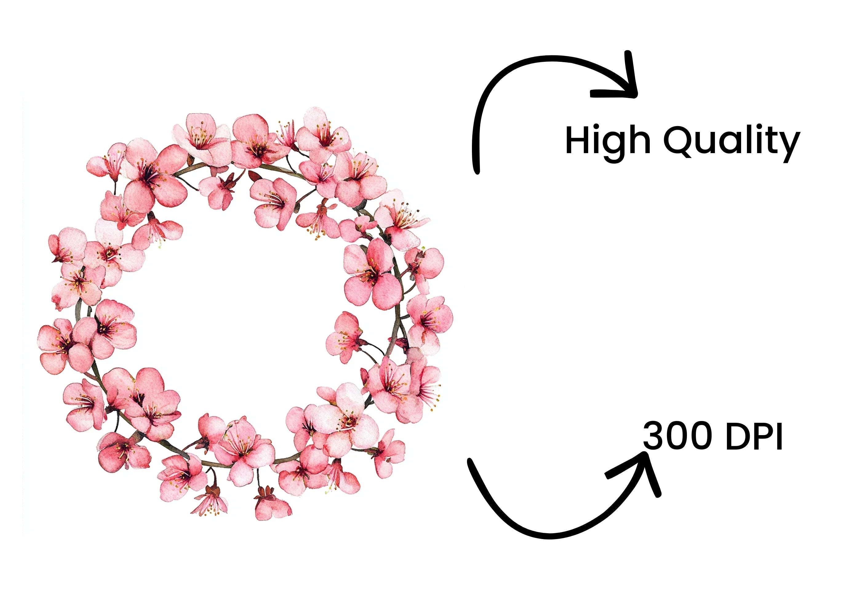 Pink Sakura Flower Wreath Clipart Bundle