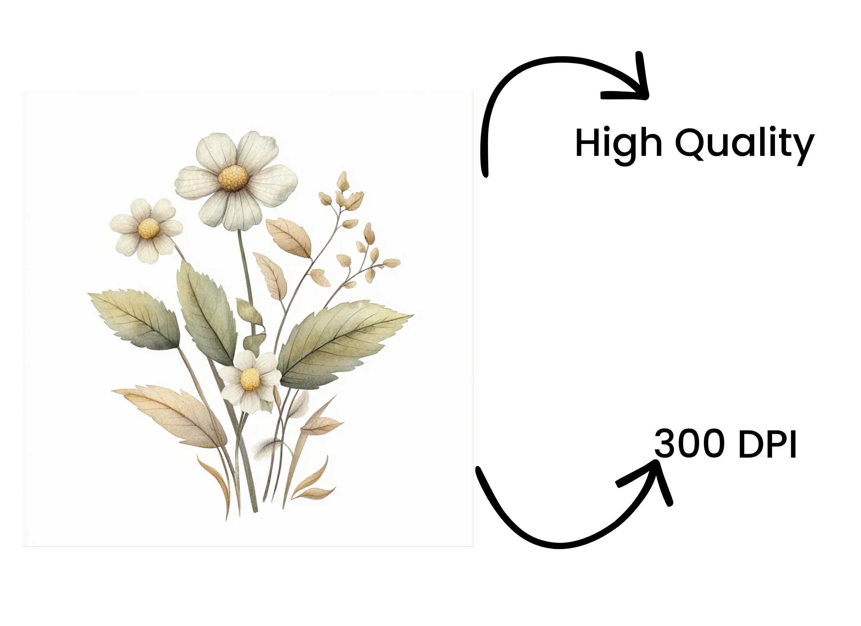 Daisy and Wildflower Clipart Bundle