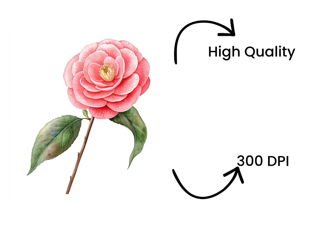 Vibrant Red Camellia Blossom Clipart Bundle