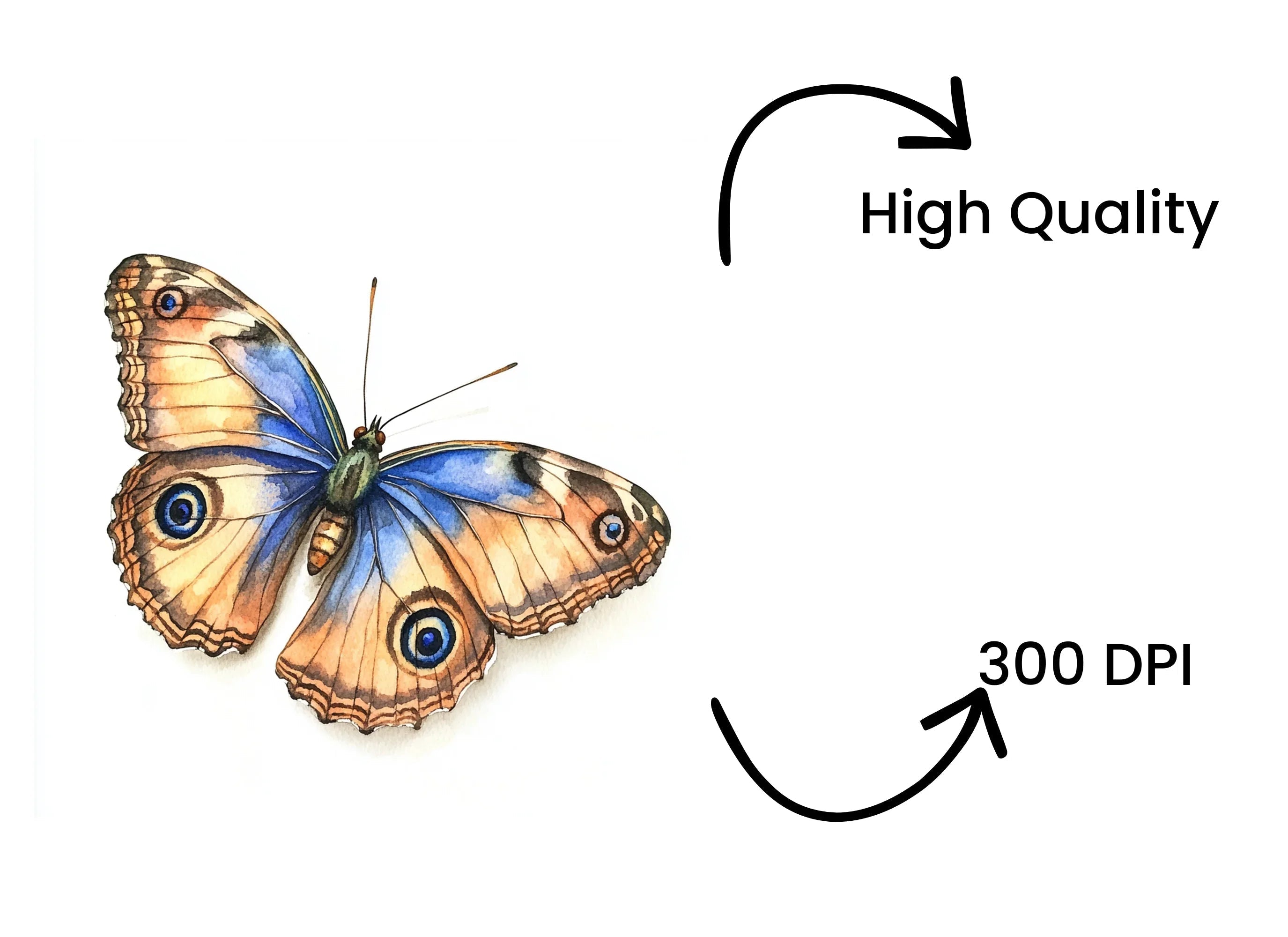 Butterfly Clipart Bundle