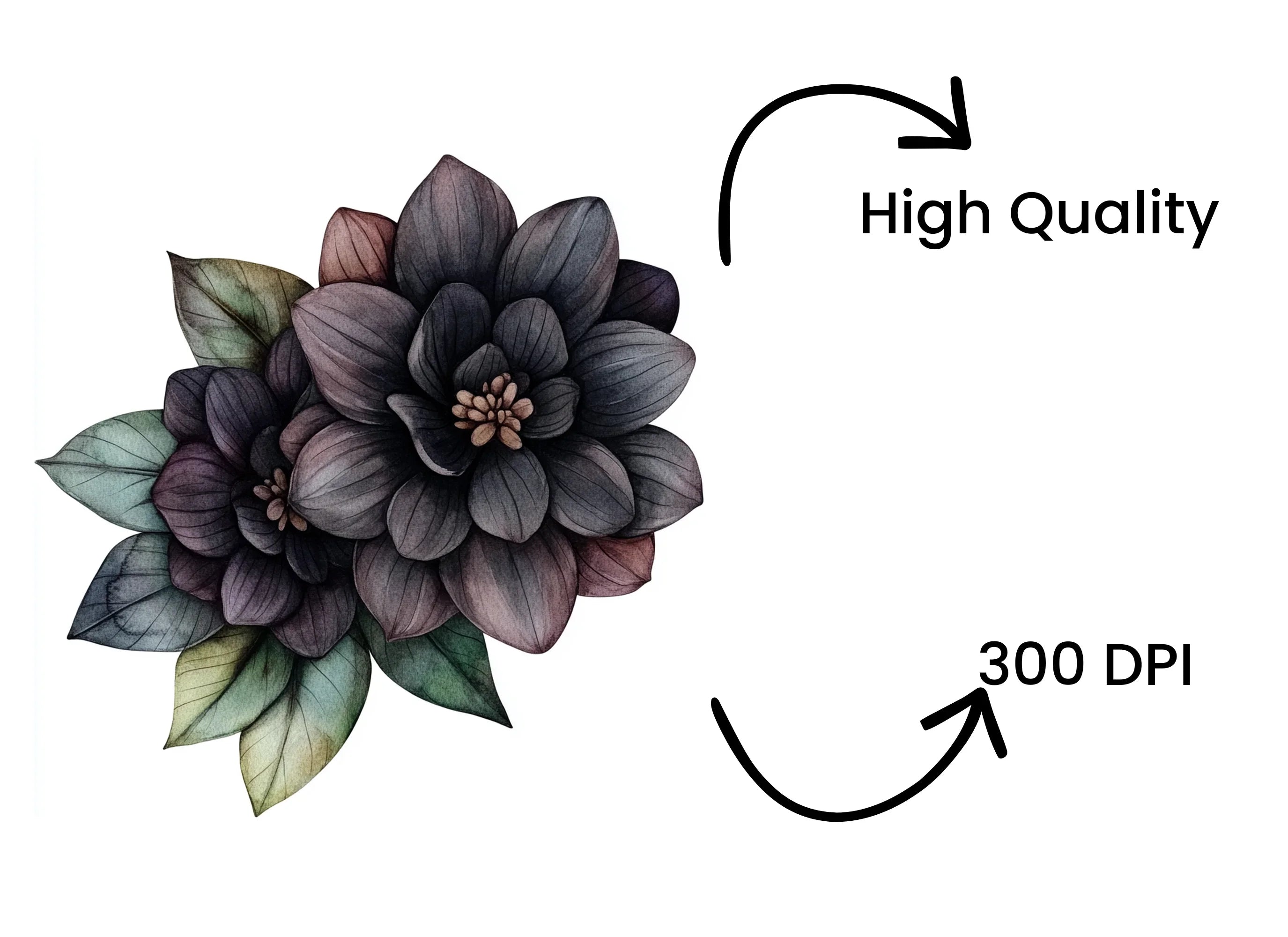 Dark Floral Clipart Bundle