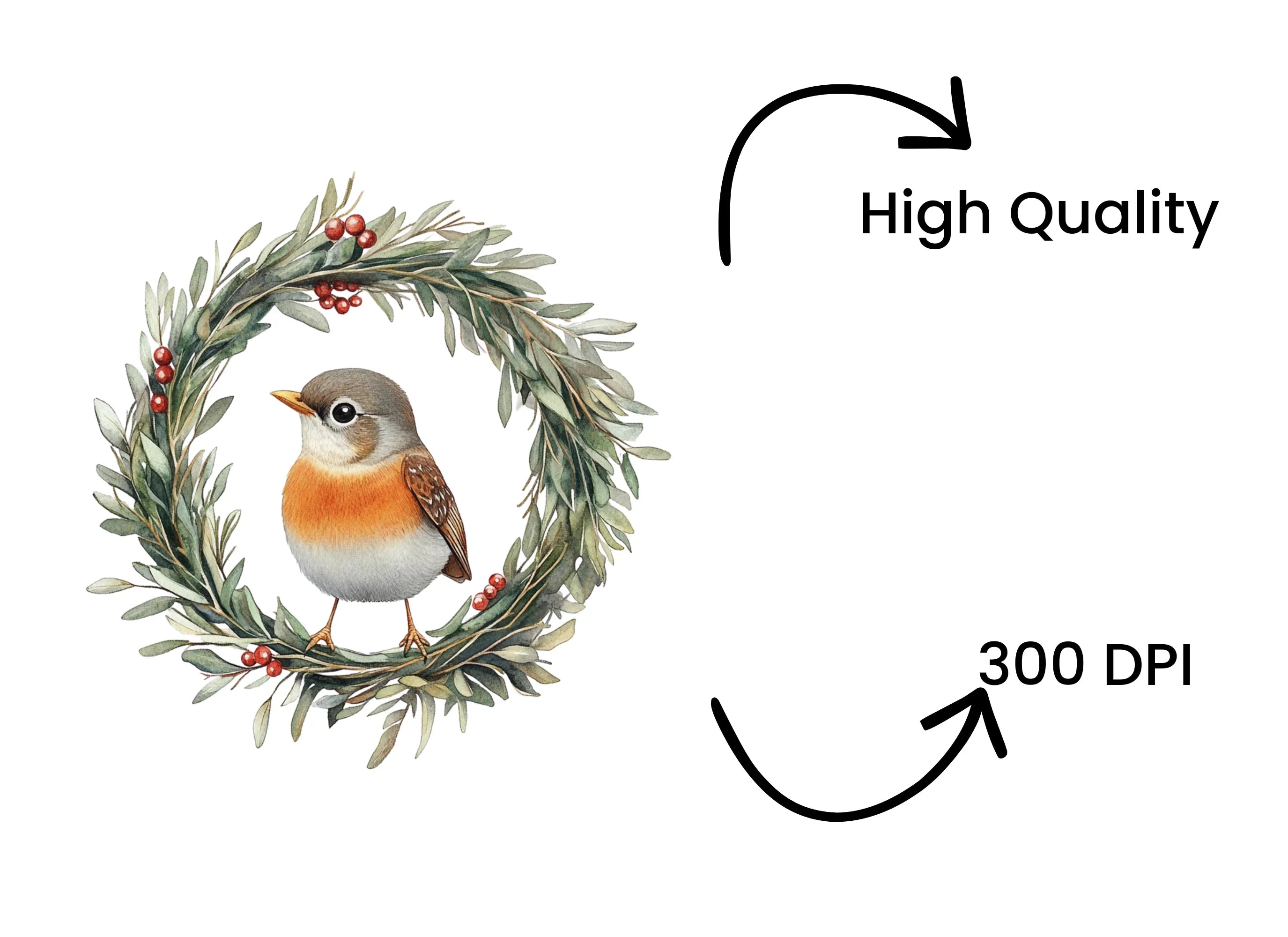 Winter Bird in Olive Wreath Clipart Bundle