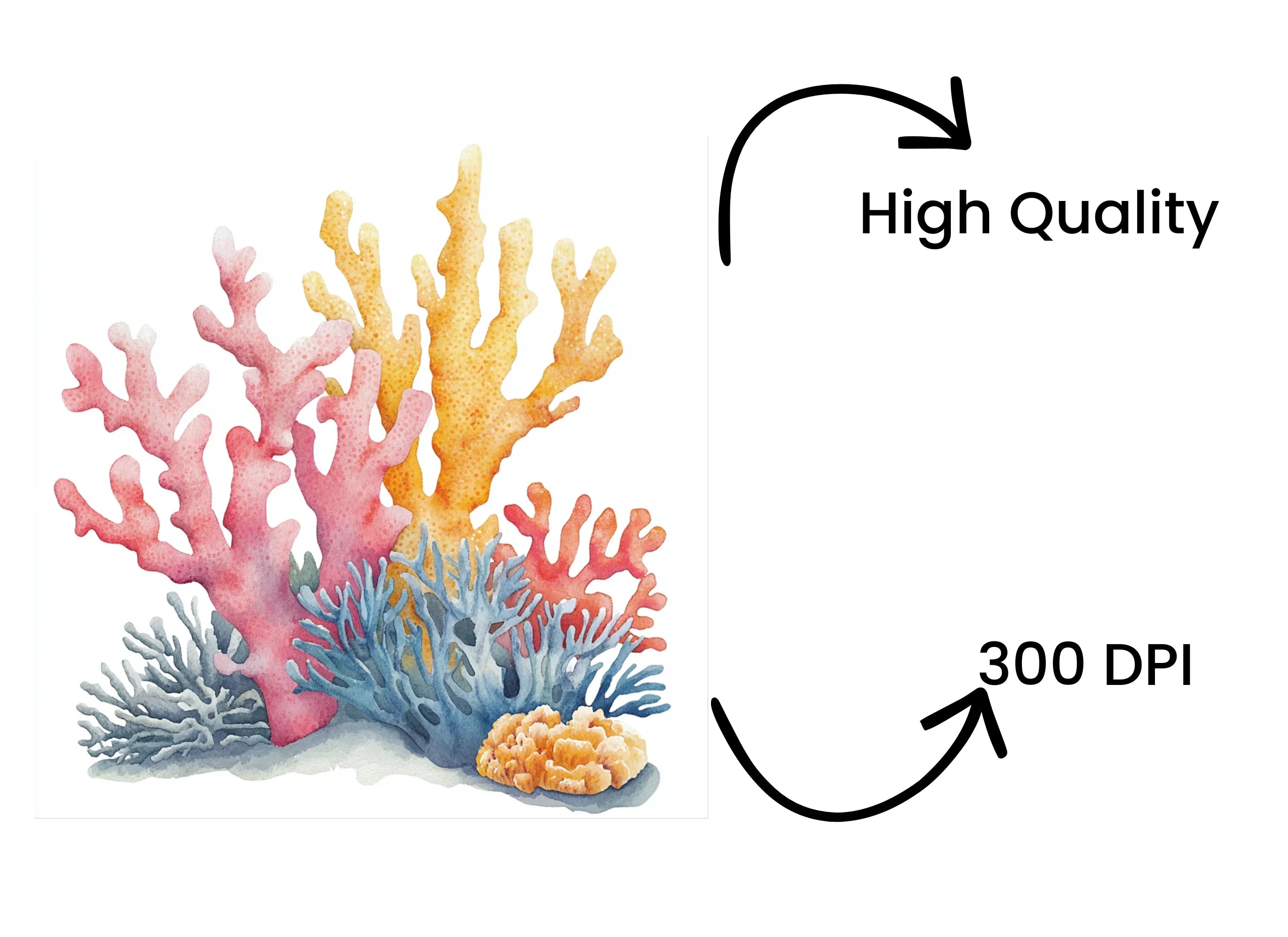 Colorful Coral Reef Elements Clipart Bundle