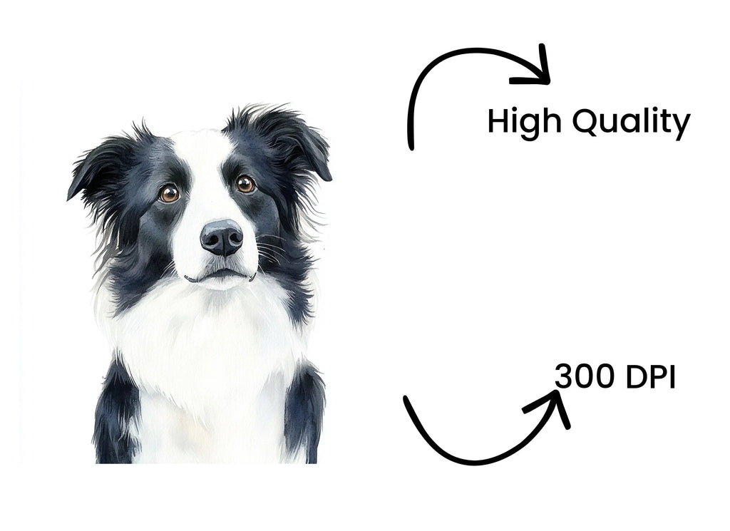 Majestic Border Collie Portrait Clipart Bundle