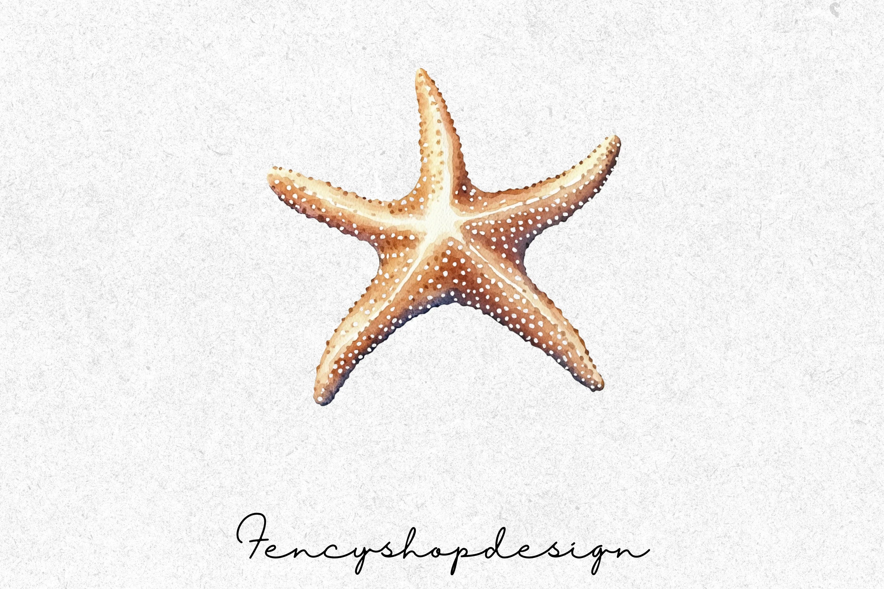 Realistic Ocean Starfish Clipart Bundle