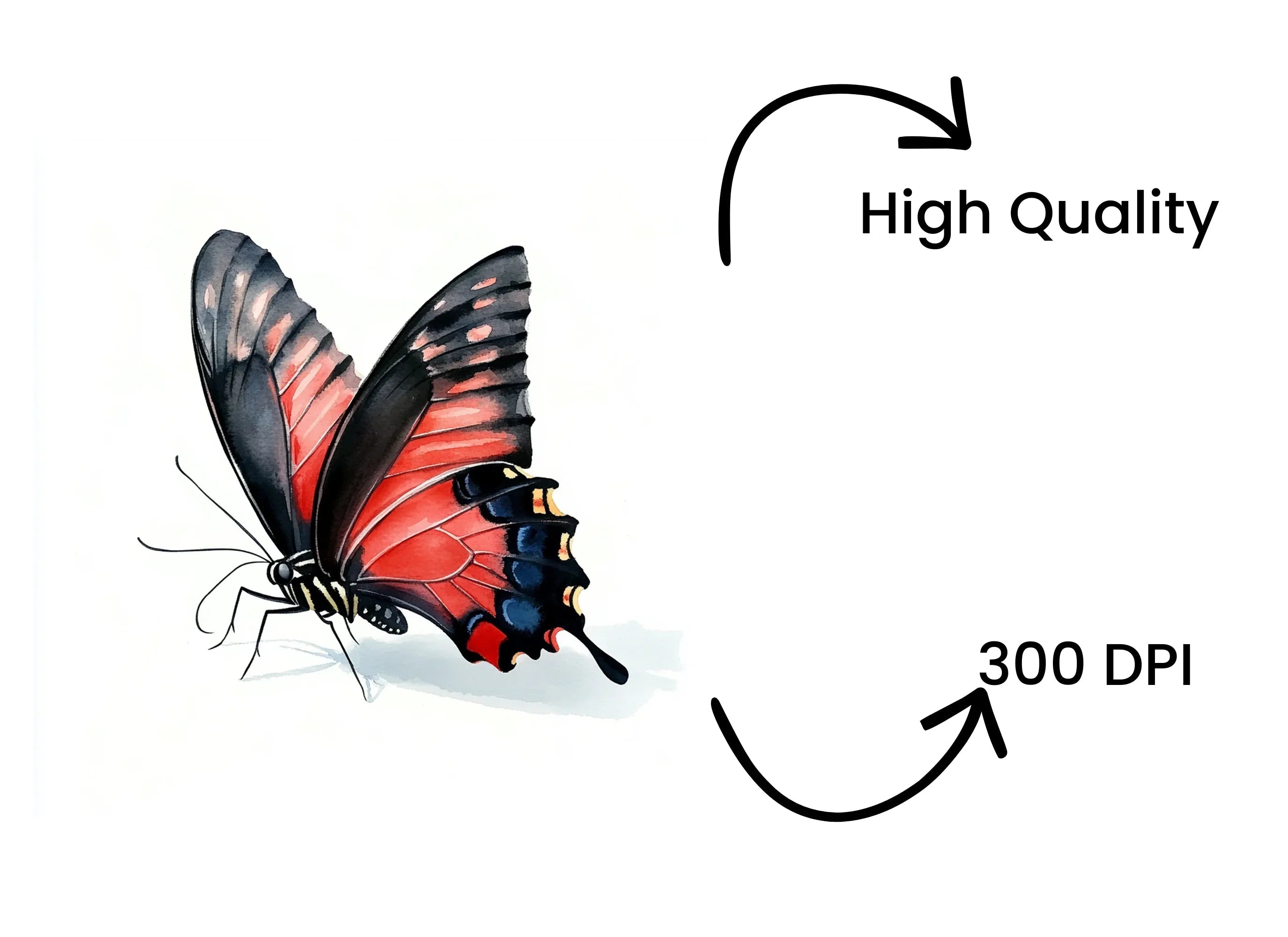 Red and Black Butterfly Clipart Bundle