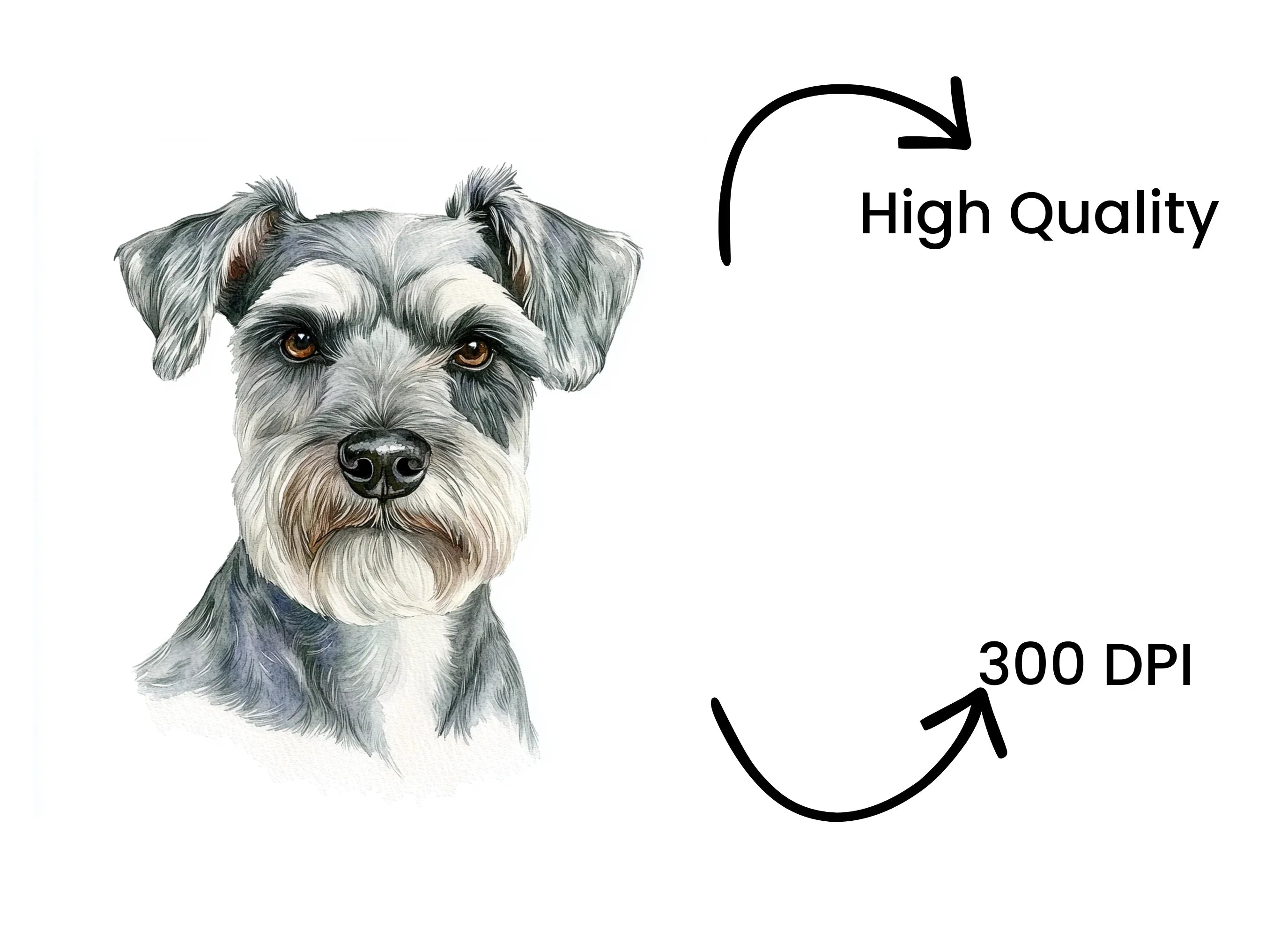 Miniature Schnauzer Face Clipart Bundle