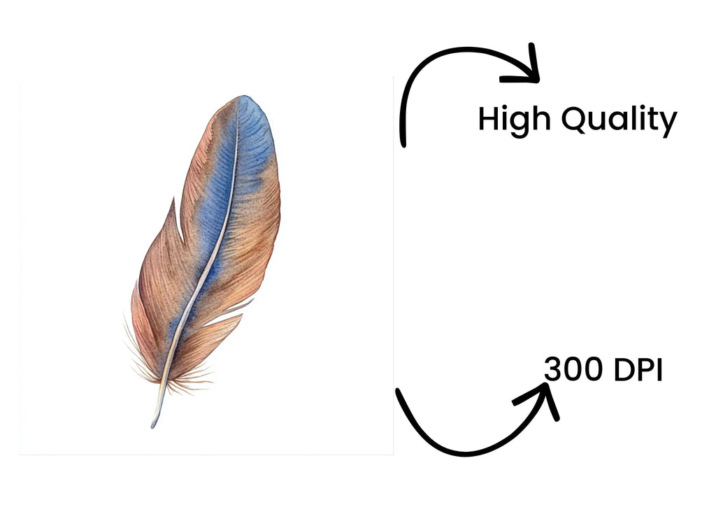 Rustic Feather Clipart Bundle