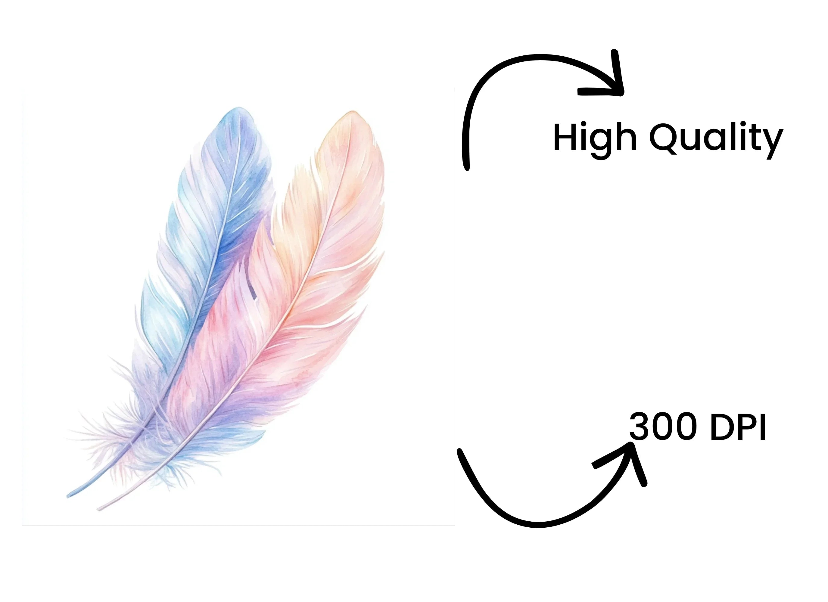Soft Feather Arrangements Clipart Bundle