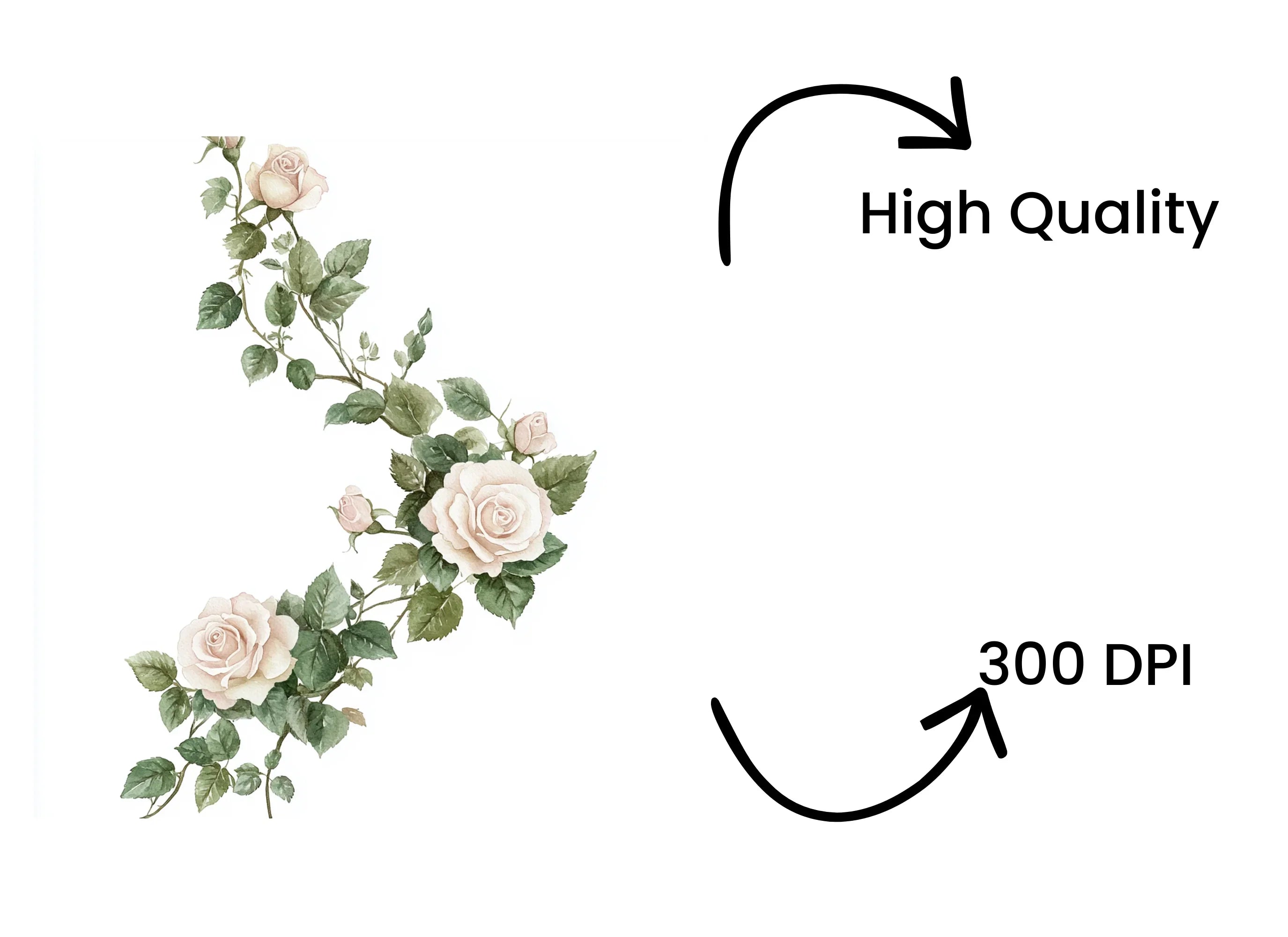 Delicate Rose Vine Corner Clipart Bundle