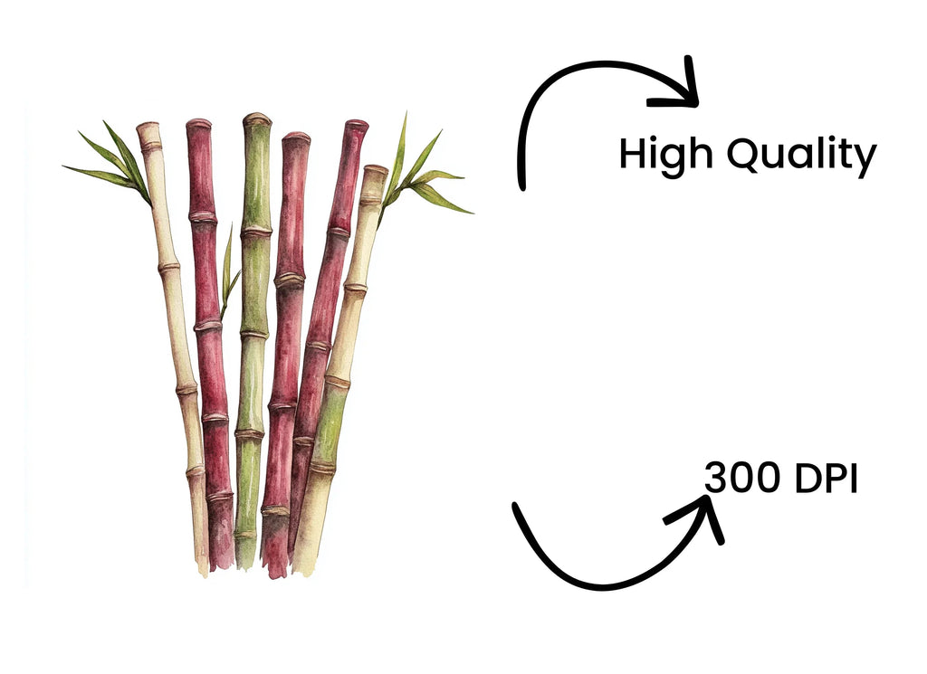Bamboo Stalks Clipart Bundle