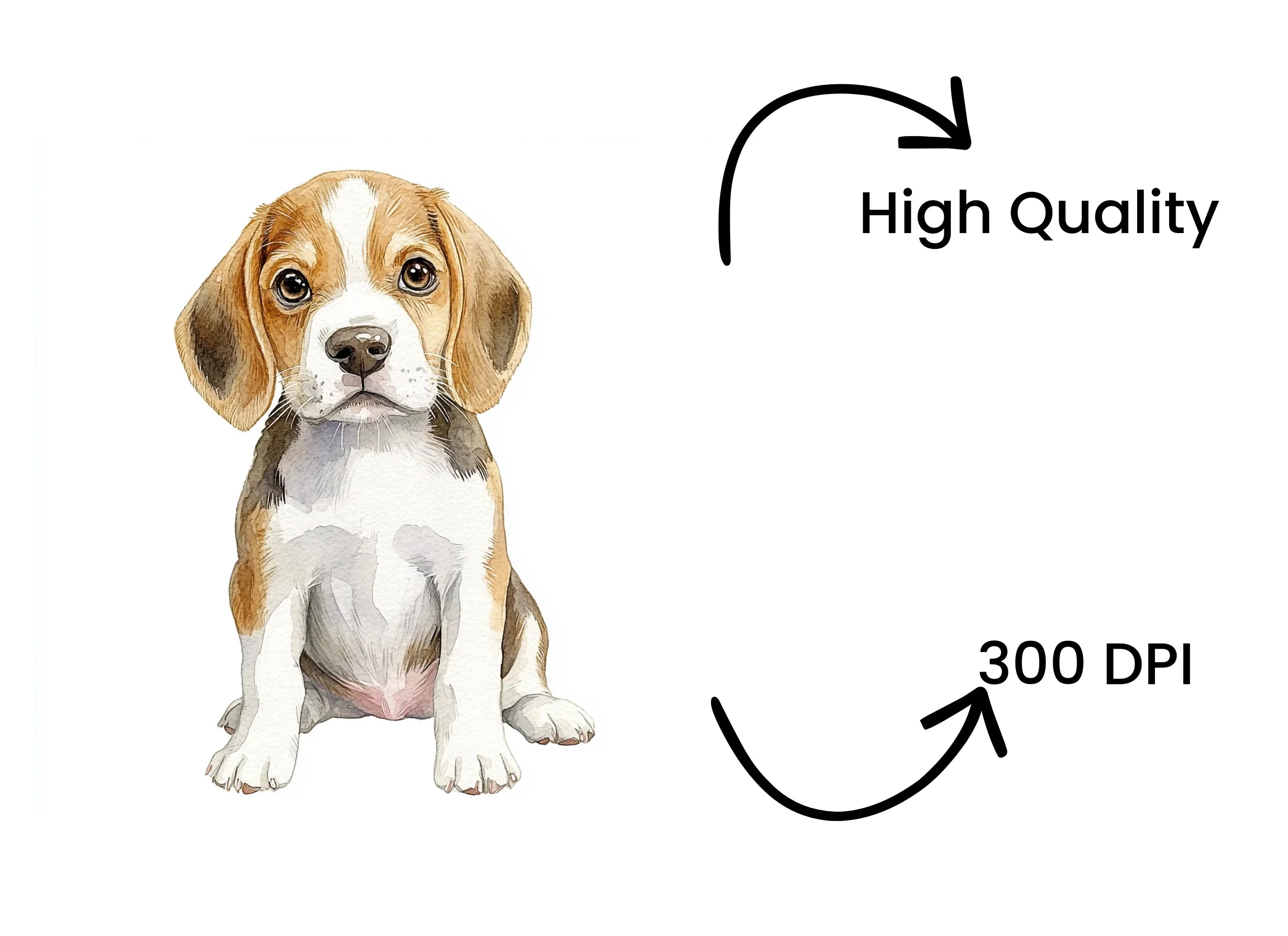 Adorable Beagle Puppy Clipart Bundle
