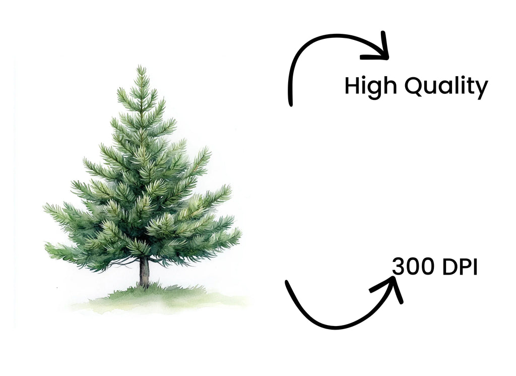 Green Pine Tree Illustrations Clipart Bundle