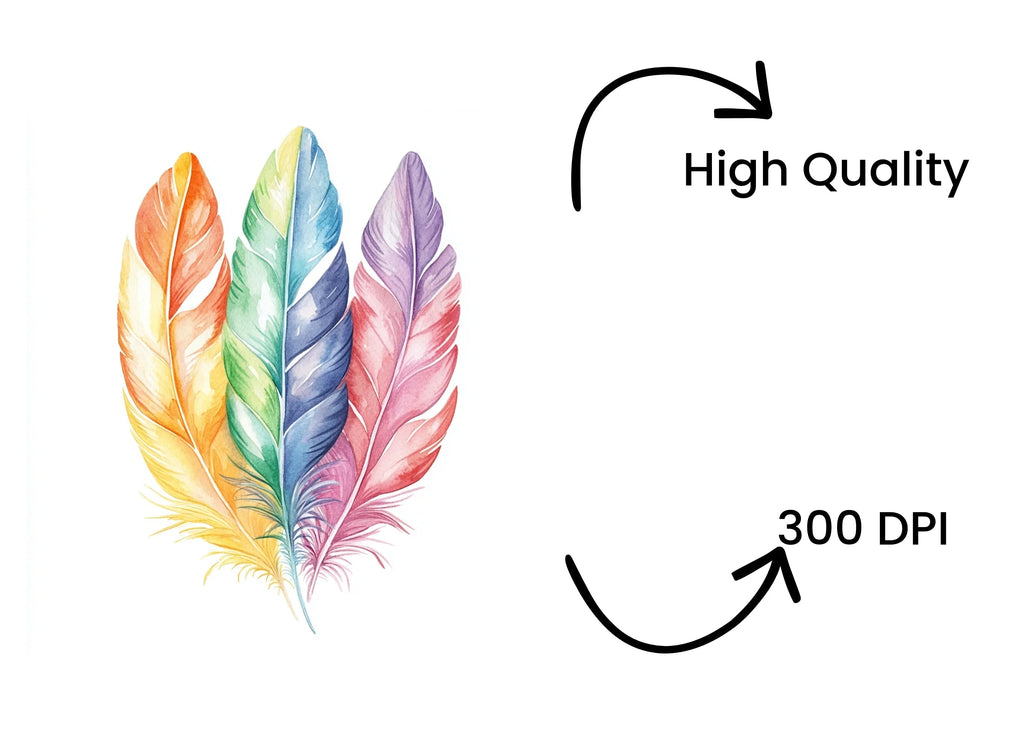 Assorted Colorful Feather Clipart Bundle