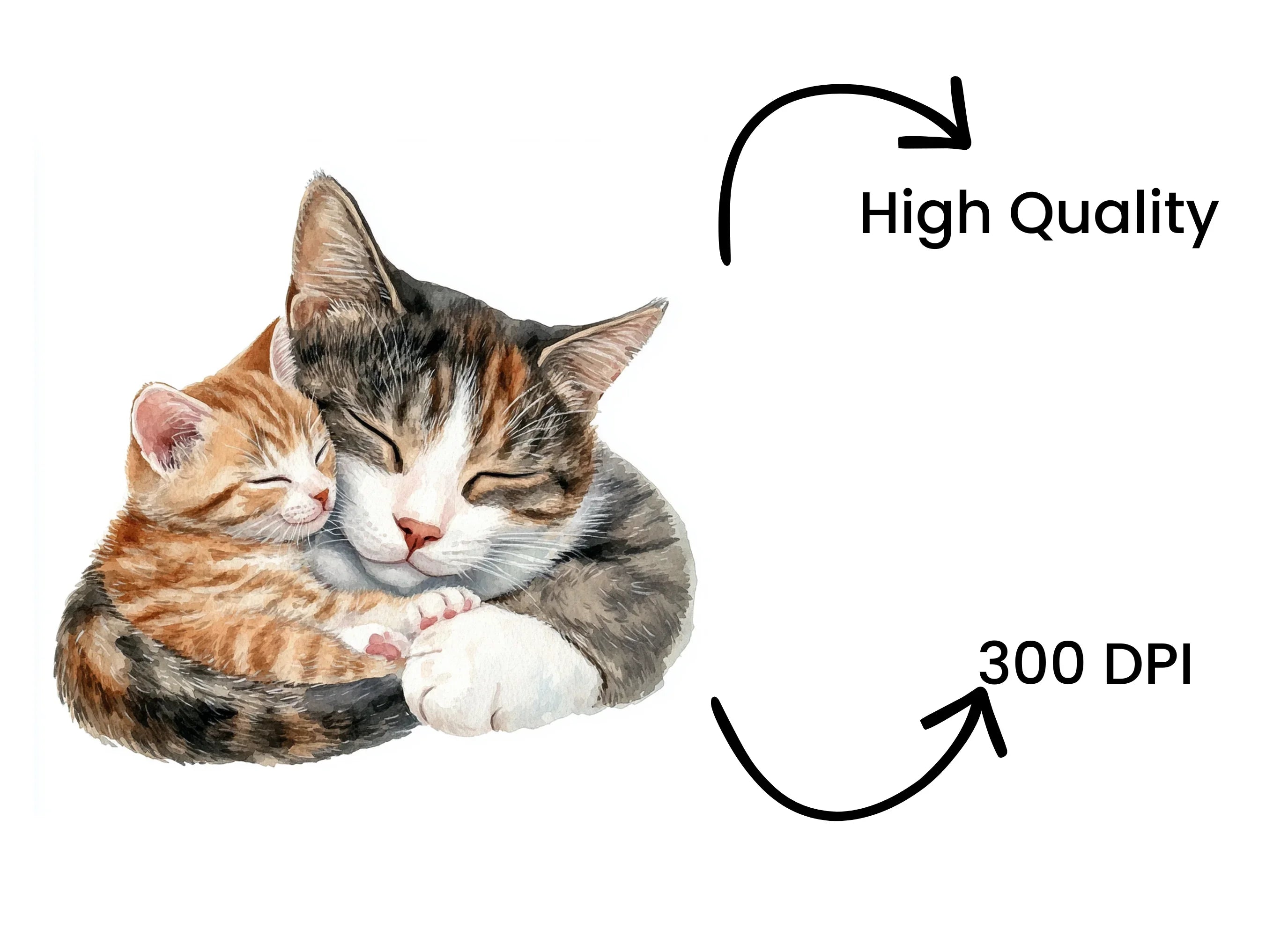 Sleeping Cats and Kittens Clipart Bundle