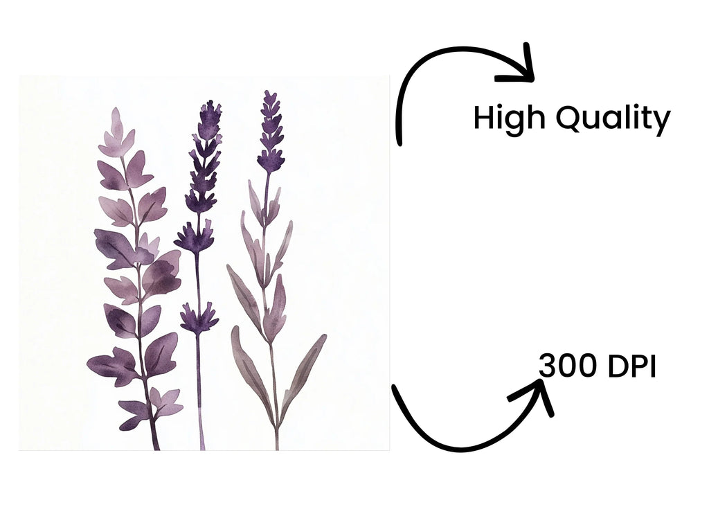 Lavender Clipart Bundle