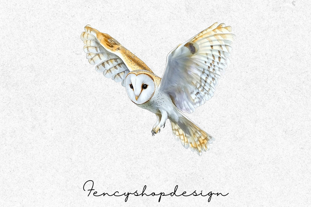 Barn Owl Flying Clipart Bundle