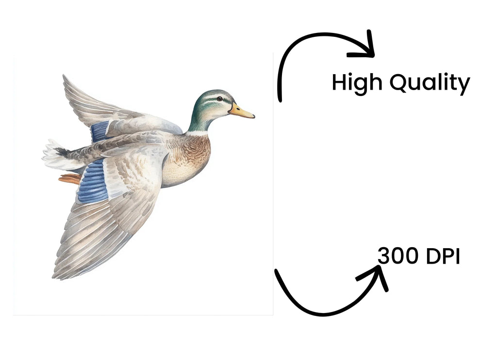 Flying Duck Clipart Bundle